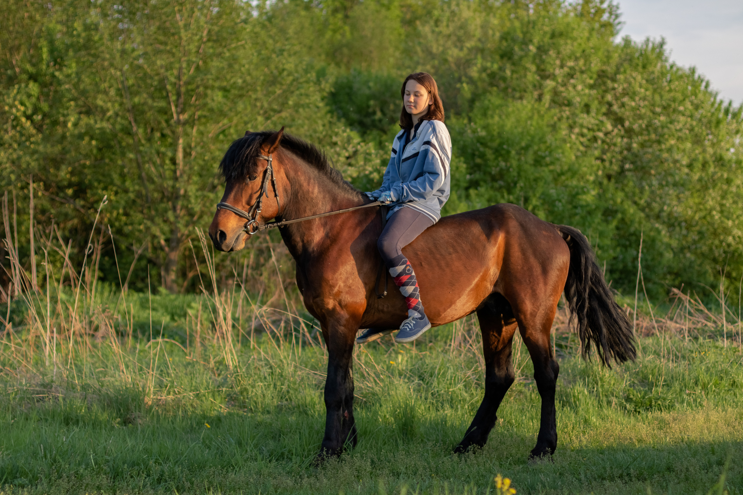 Ира и Гром. Фотограф Кристина Голубева г. Сергиев Посад