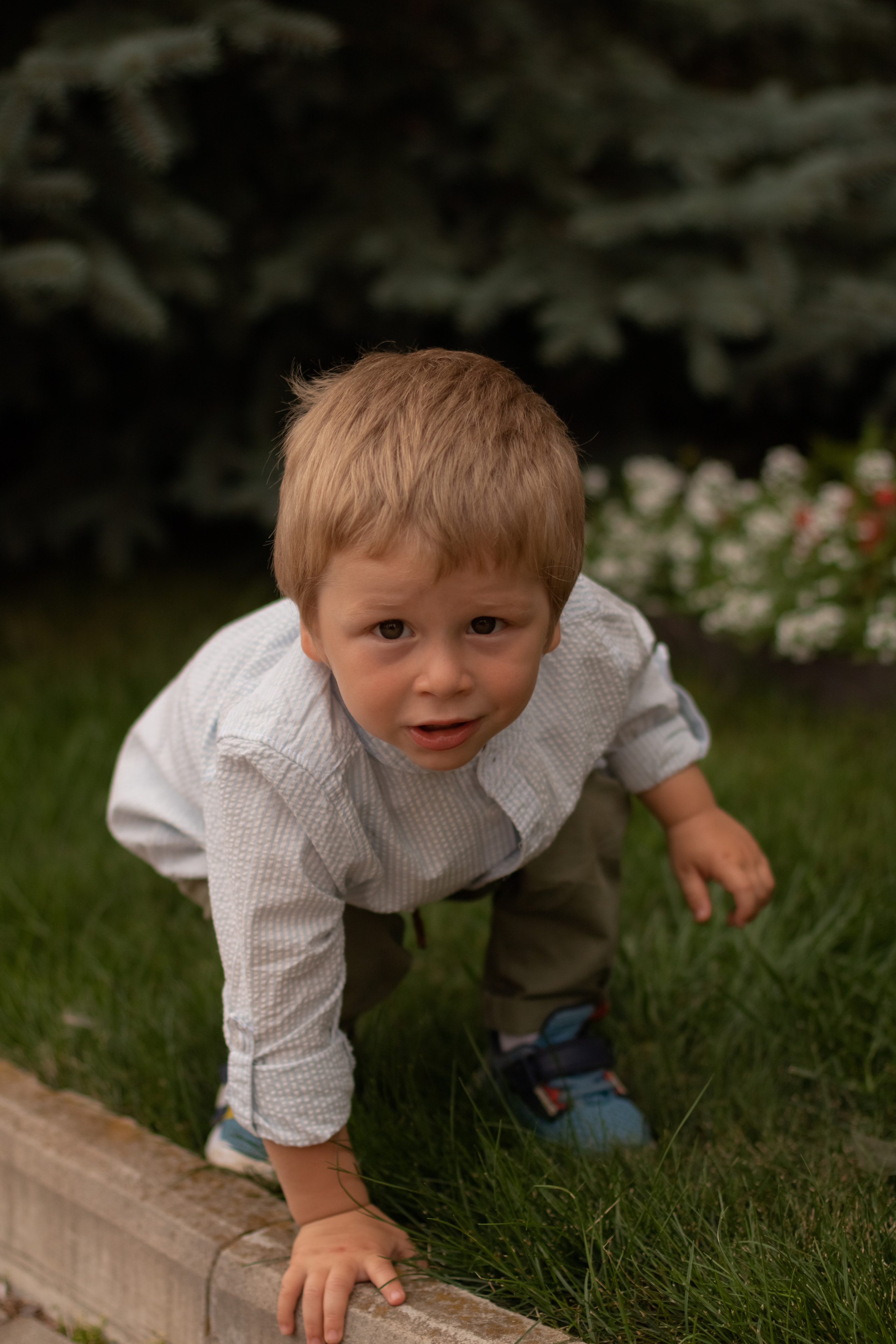 Алина и Даниэль. Фотограф Кристина Голубева г. Сергиев Посад