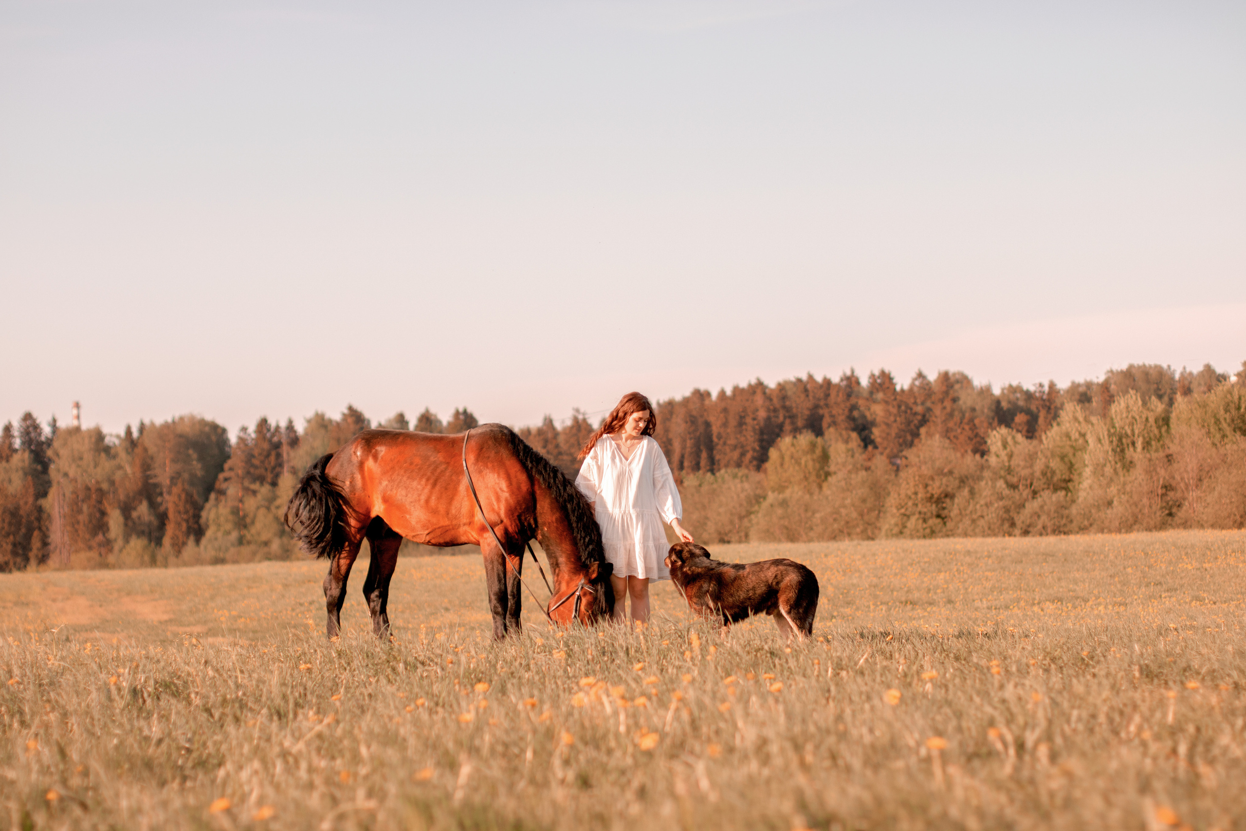 Ира и Гром. Фотограф Кристина Голубева г. Сергиев Посад
