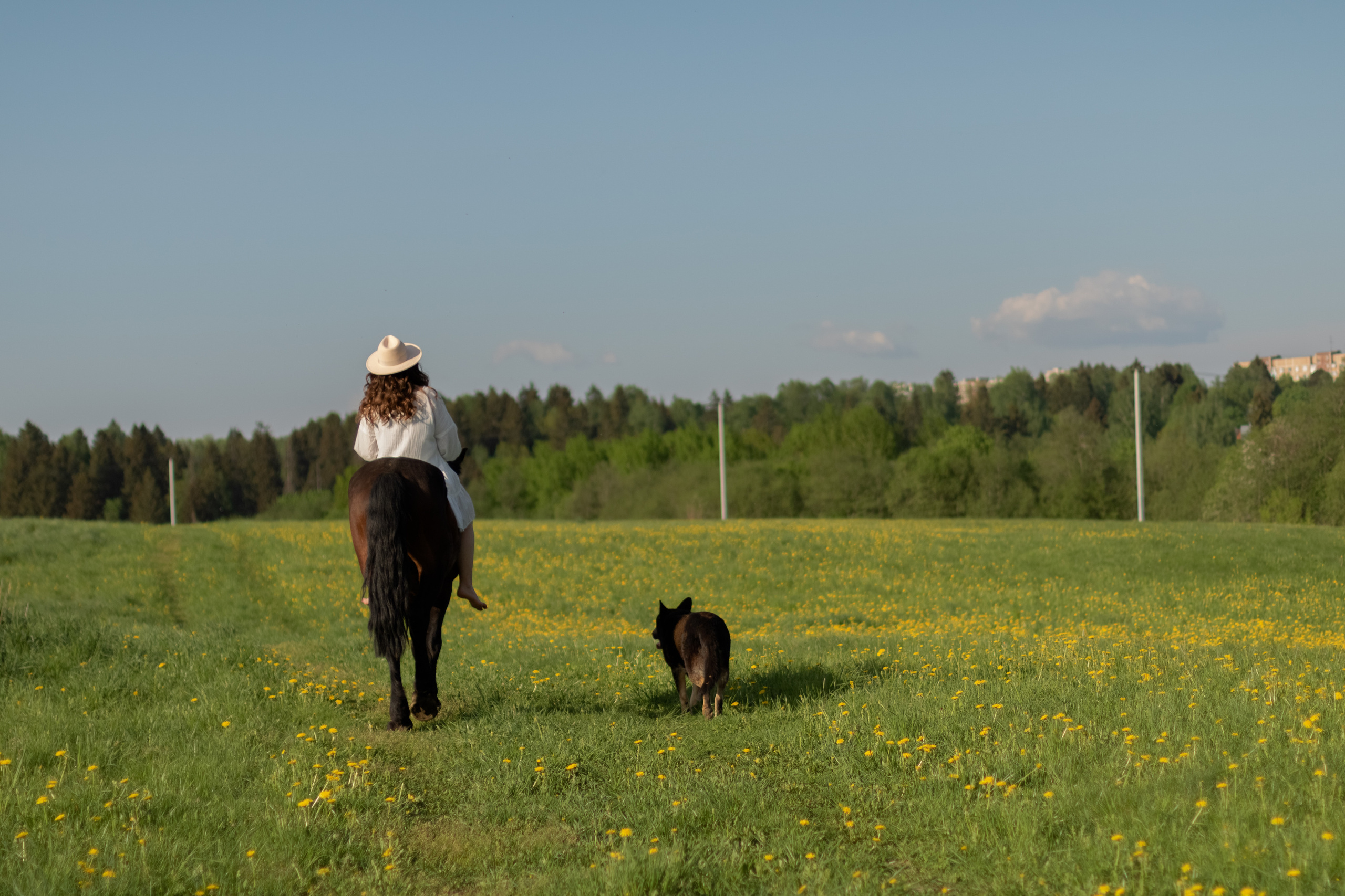 Ира и Гром. Фотограф Кристина Голубева г. Сергиев Посад
