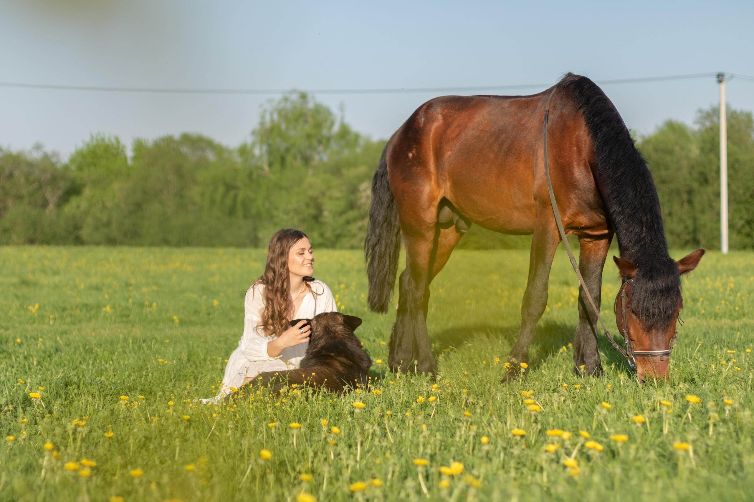 Ира и Гром. Фотограф Кристина Голубева г. Сергиев Посад