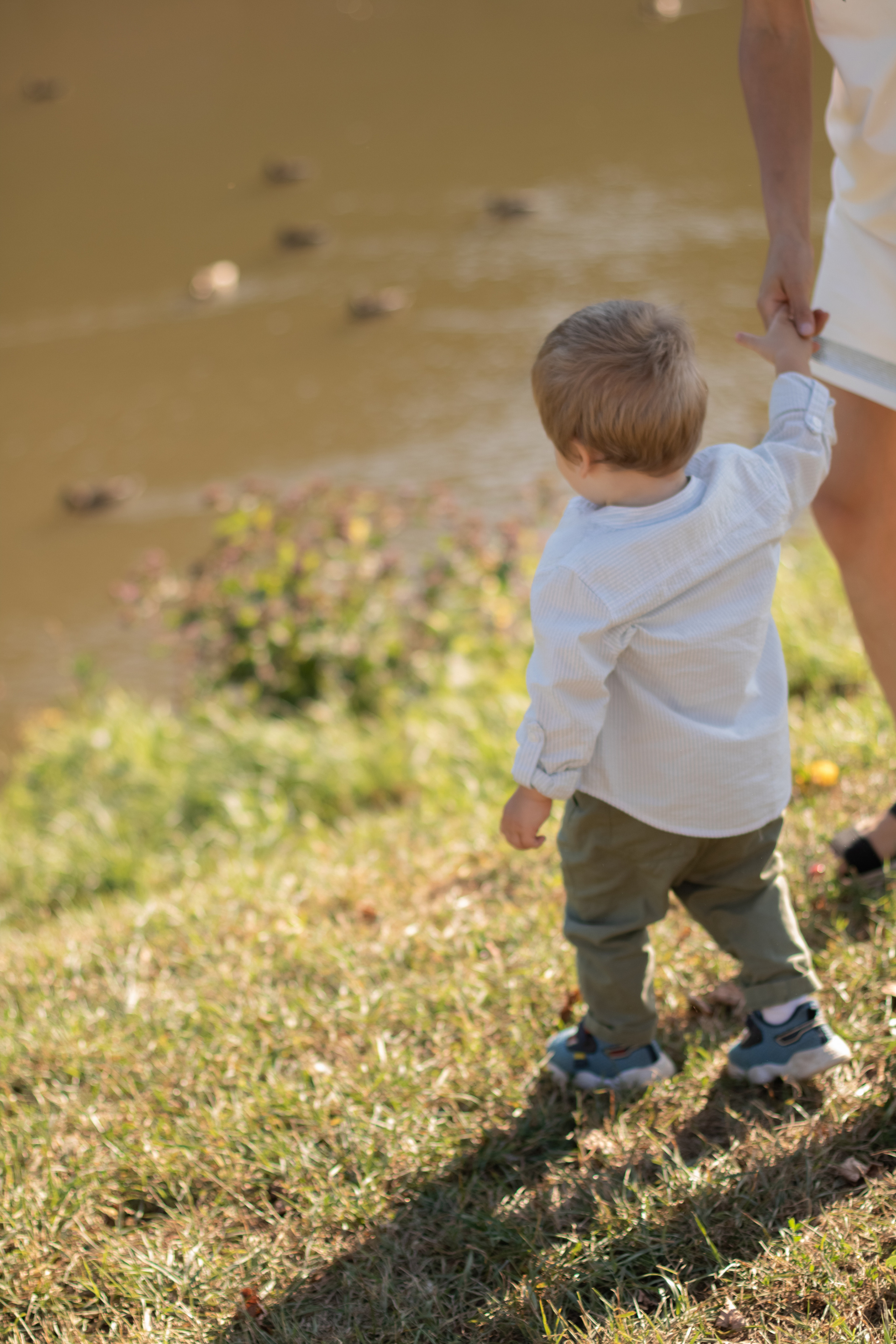 Алина и Даниэль. Фотограф Кристина Голубева г. Сергиев Посад