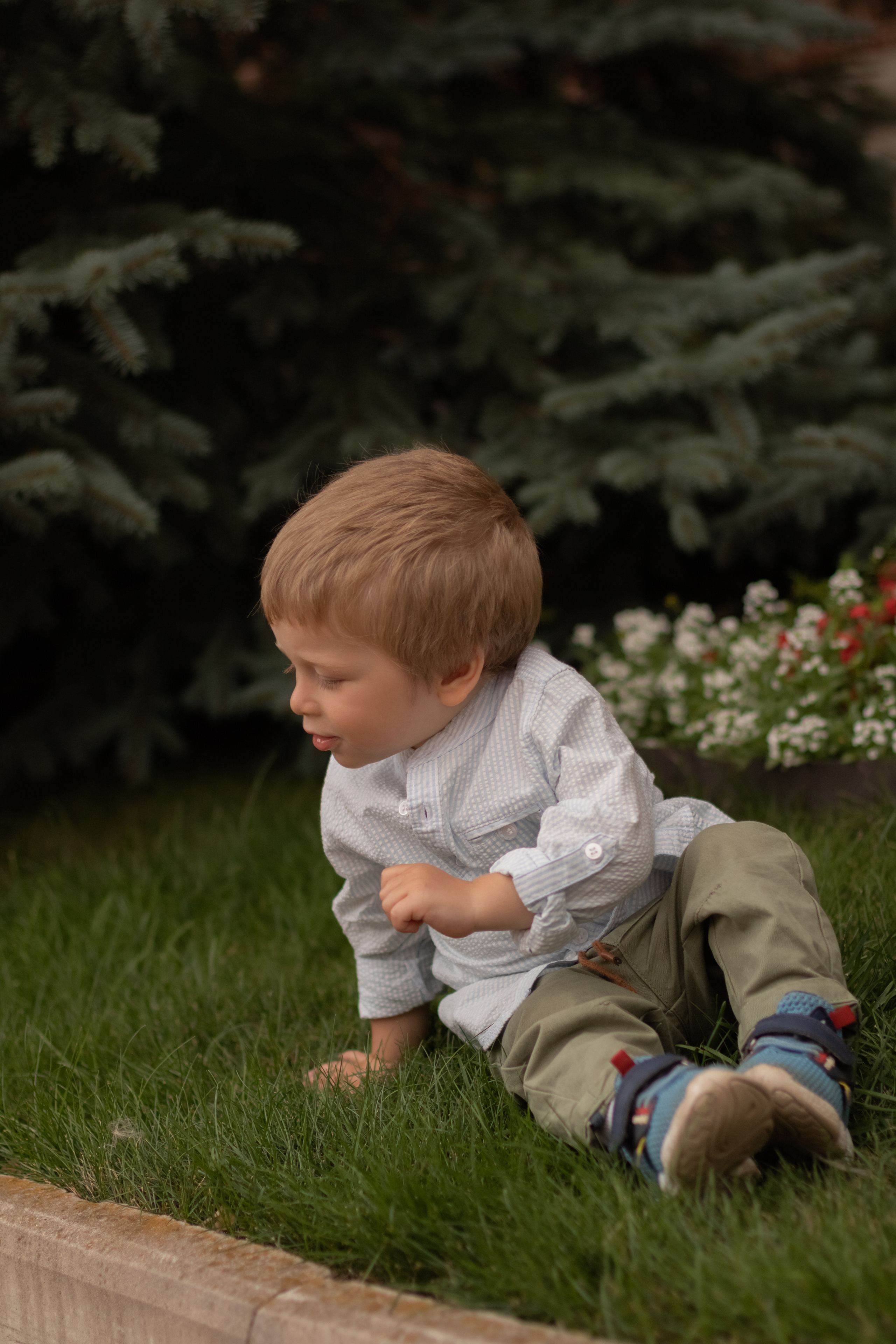 Алина и Даниэль. Фотограф Кристина Голубева г. Сергиев Посад