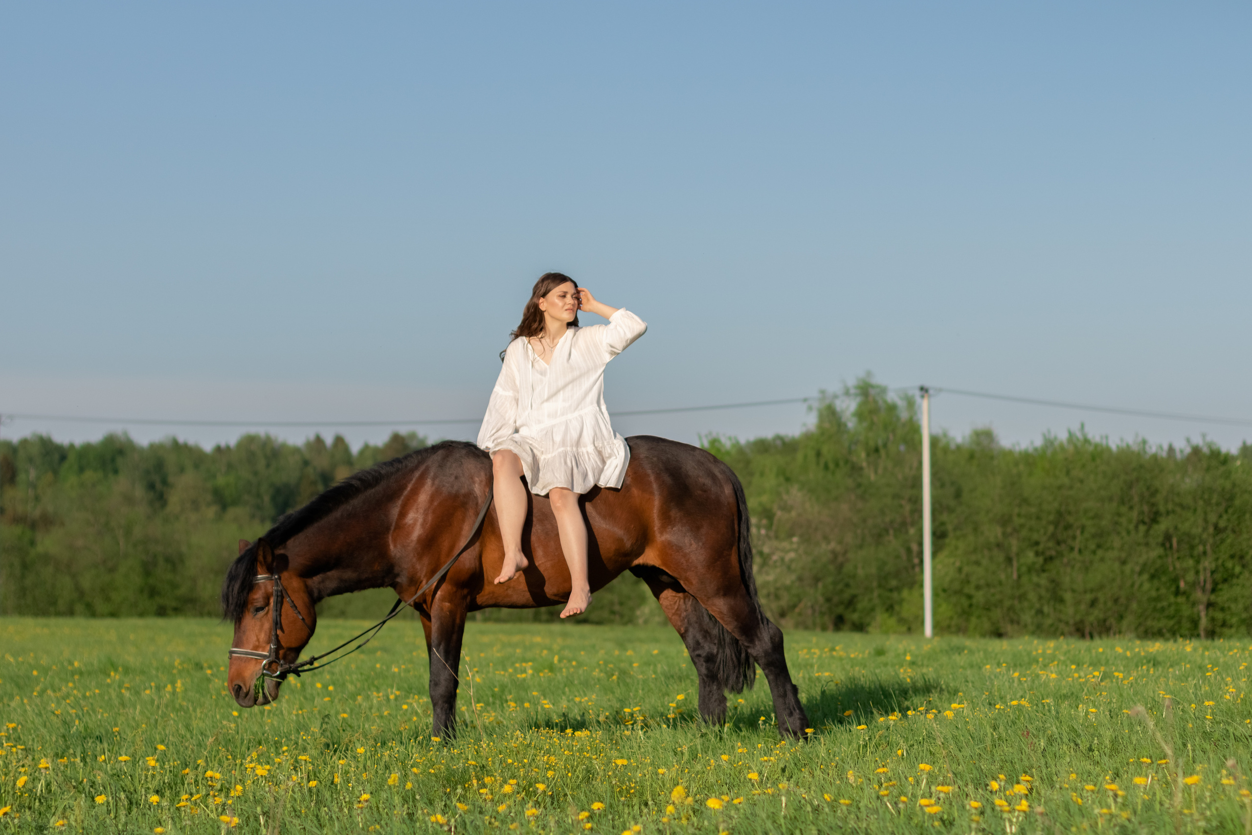 Ира и Гром. Фотограф Кристина Голубева г. Сергиев Посад