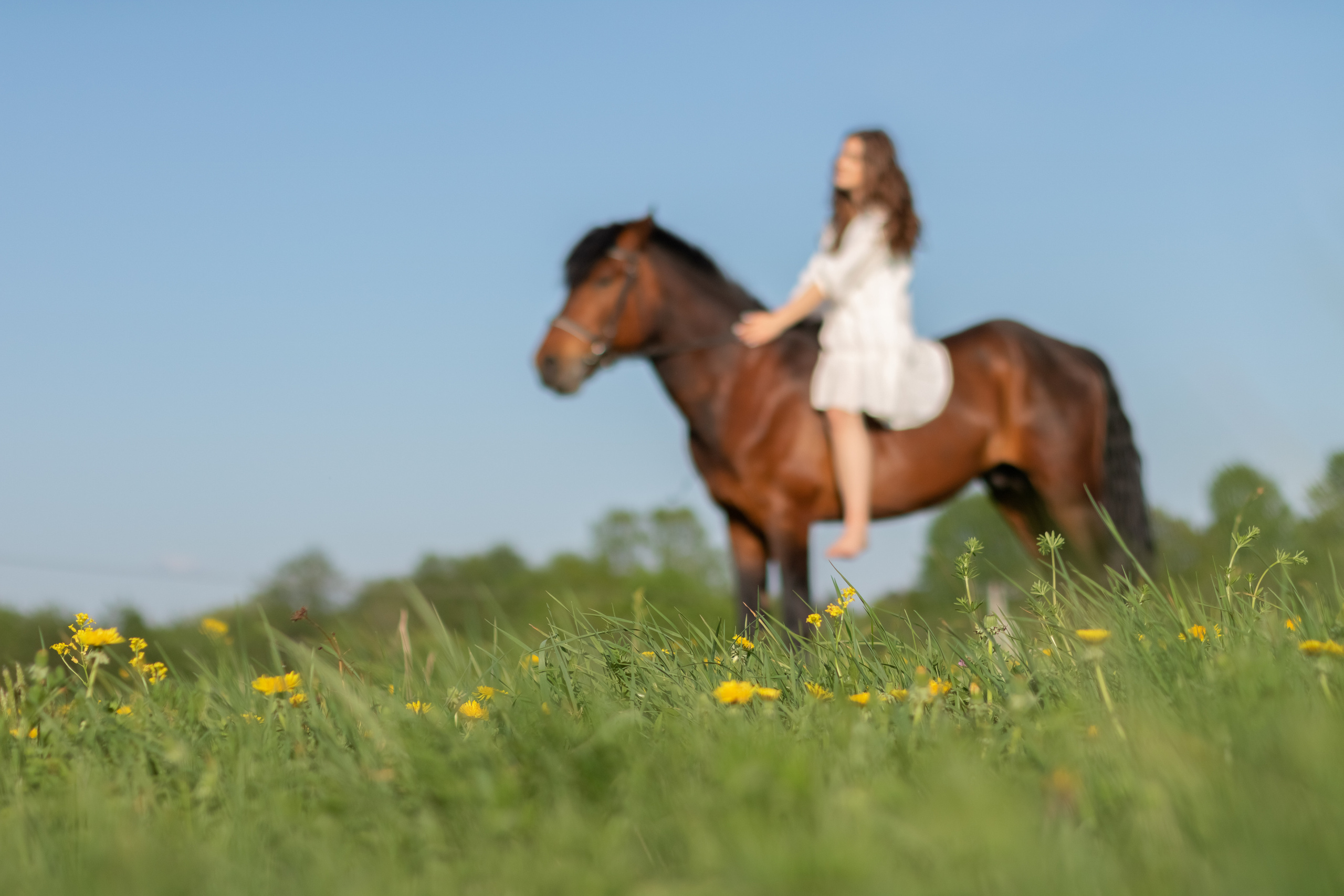 Ира и Гром. Фотограф Кристина Голубева г. Сергиев Посад