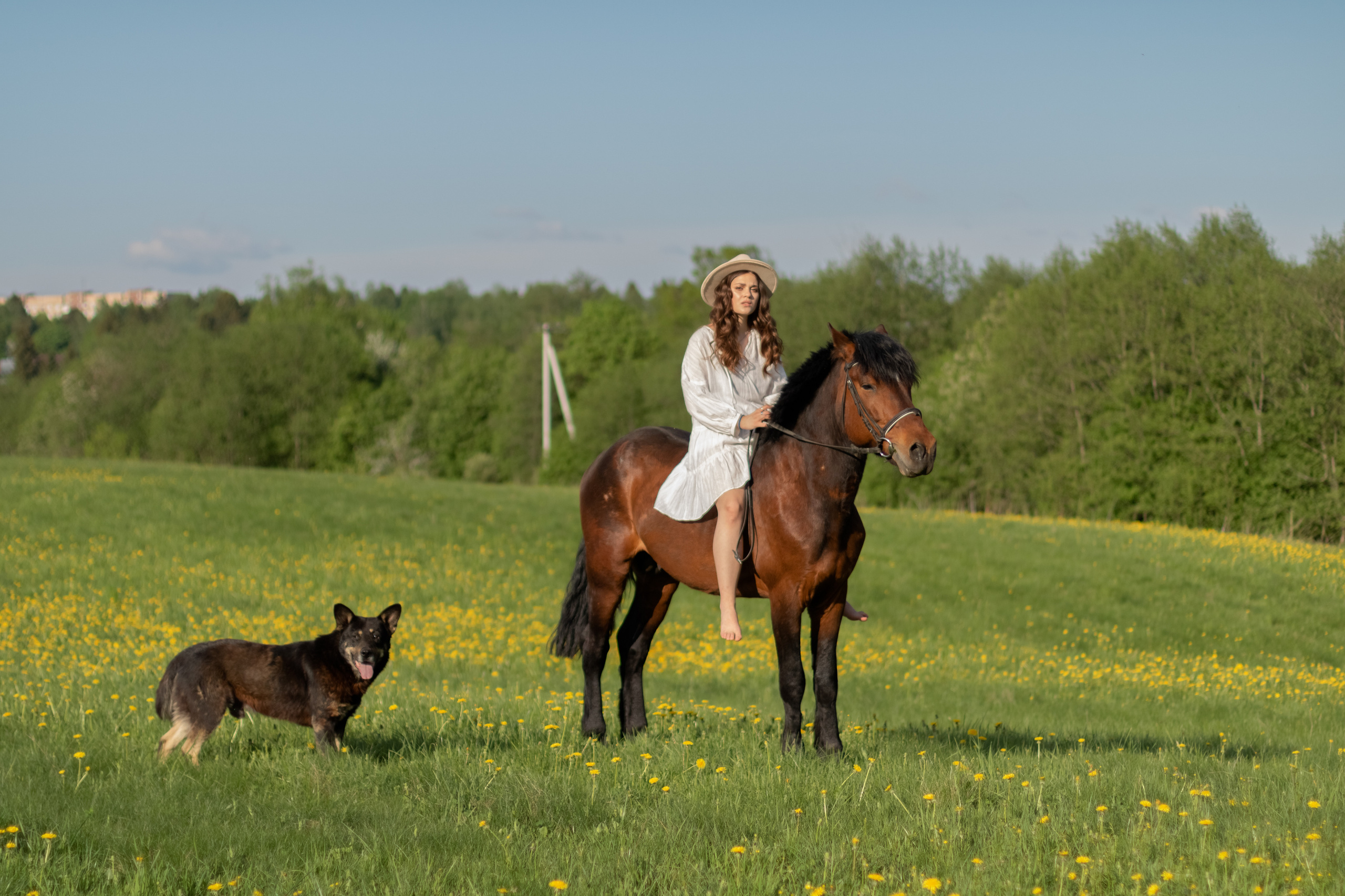 Ира и Гром. Фотограф Кристина Голубева г. Сергиев Посад