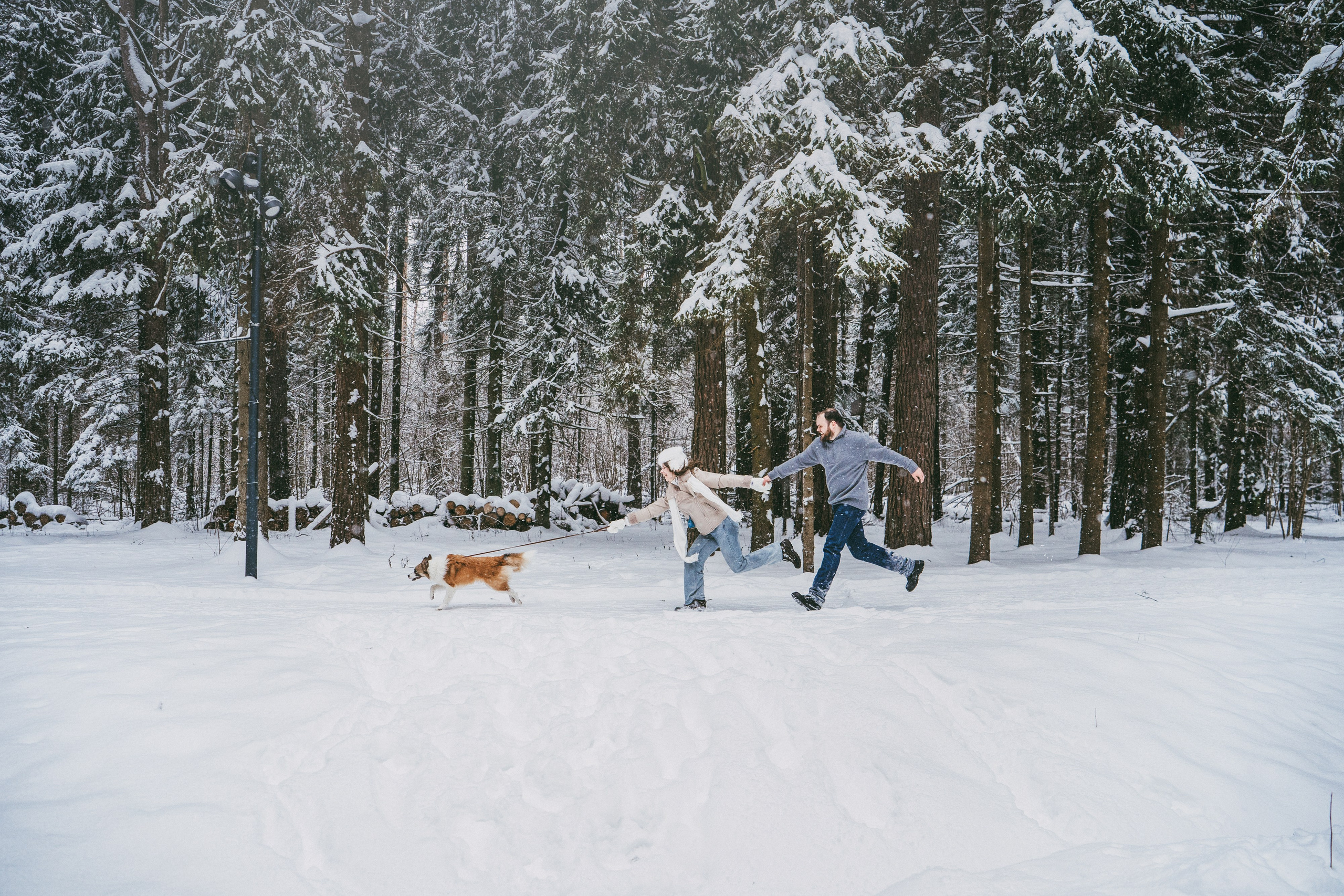 Катя, Анатолий и Елай. Фотограф анималист в Москве и Санкт-Петербурге Свиридова Анна