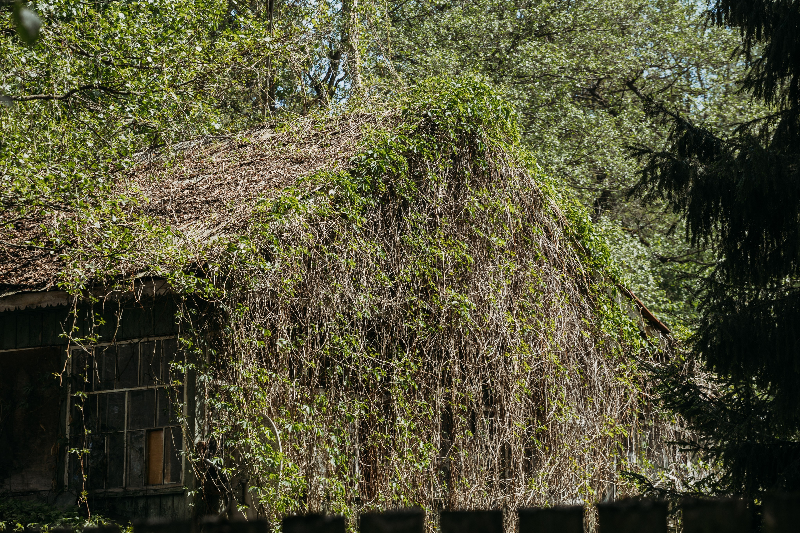 Родные люди «Кратово». Леся Гаранина. Семейный фотограф/видеограф Москва и область