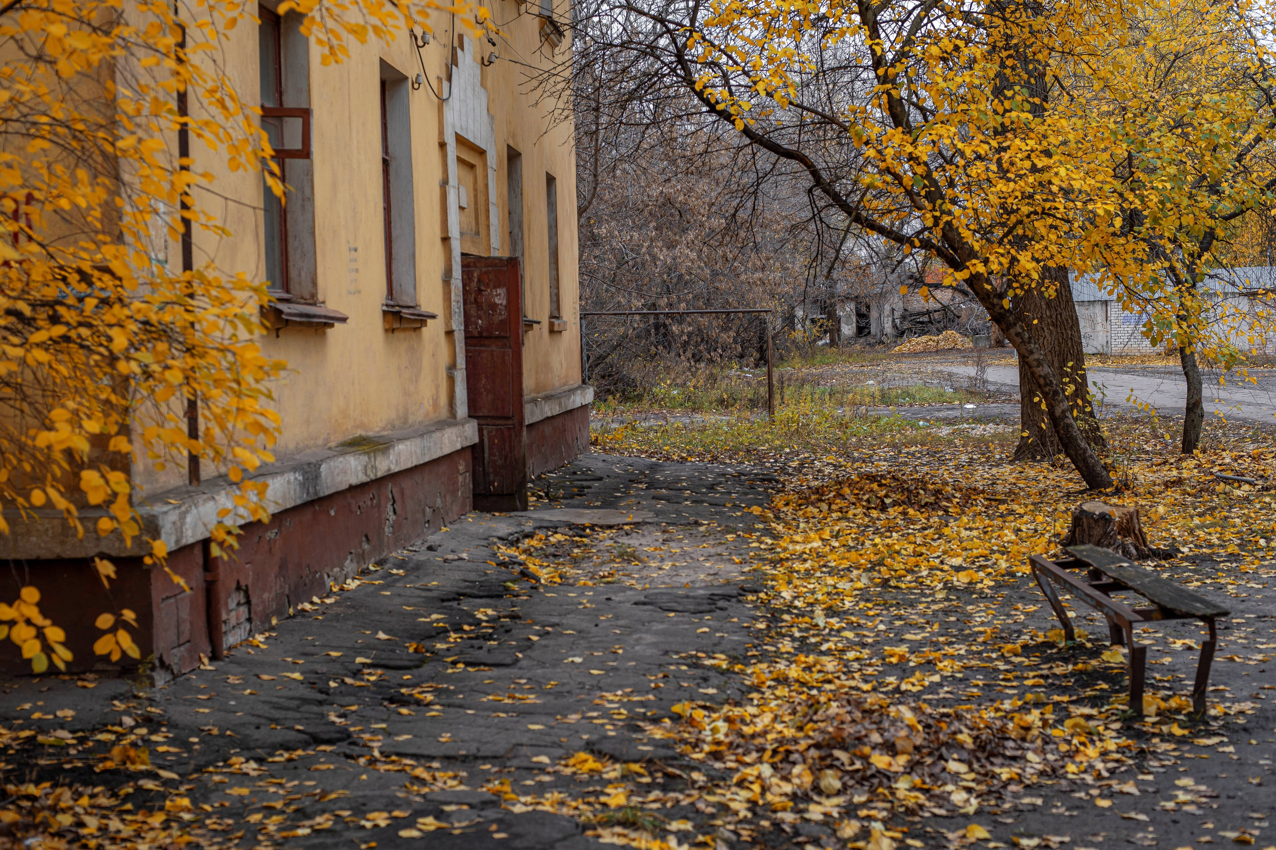 Социум. Фотография — моя жизнь