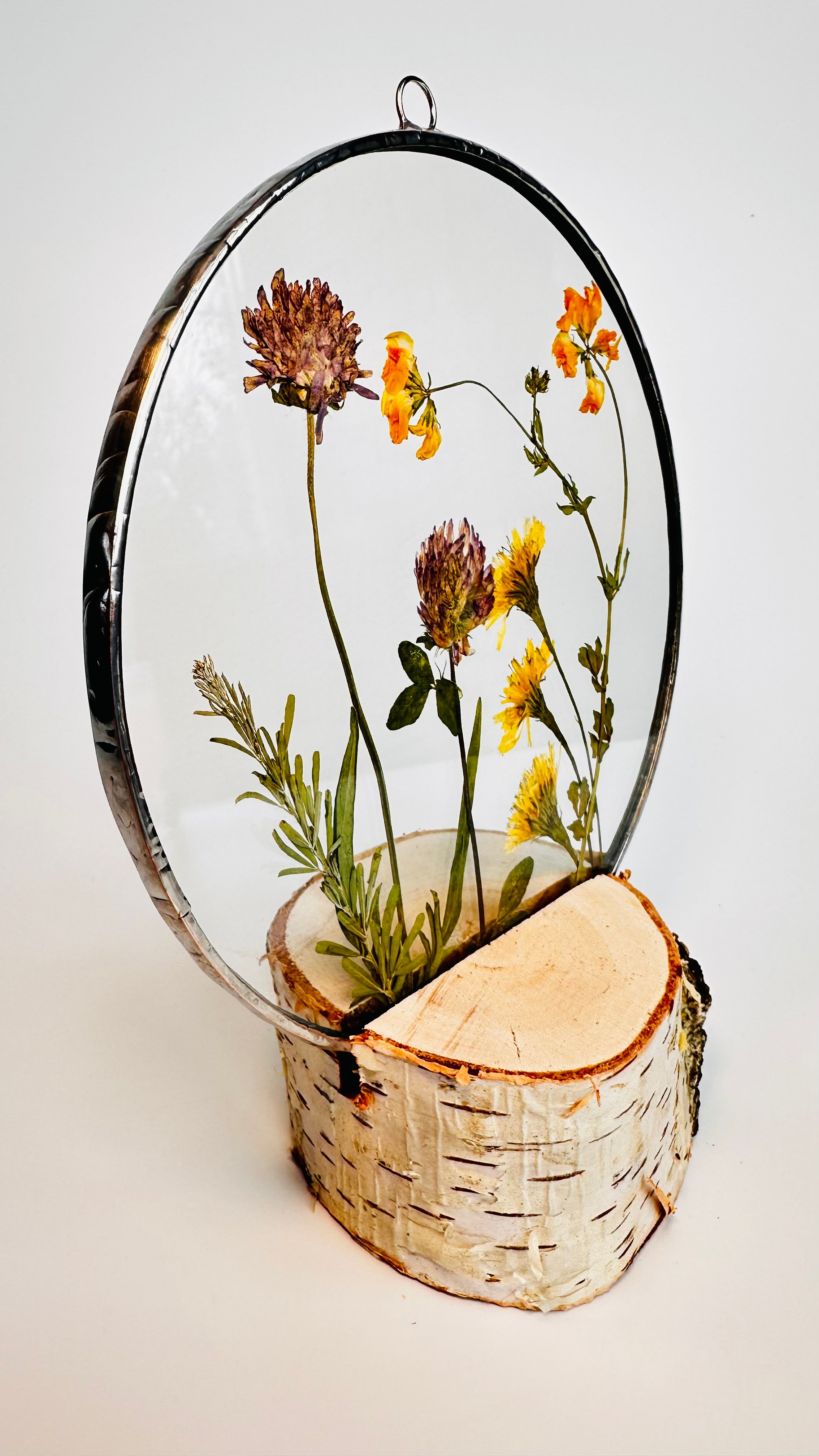 Гербарий в стекле с сухоцветами (витраж в технике тиффани). Гербарий в стекле, интерьерные панно, витражи с сухоцветами в технике тиффани