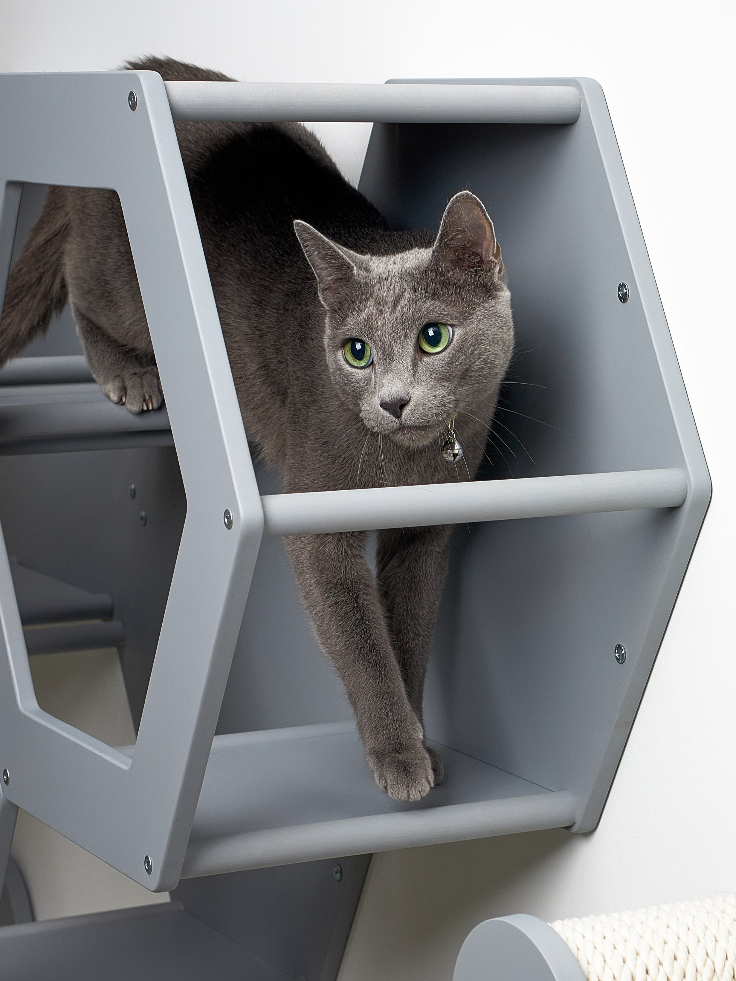 KOTOMOTO. Главная