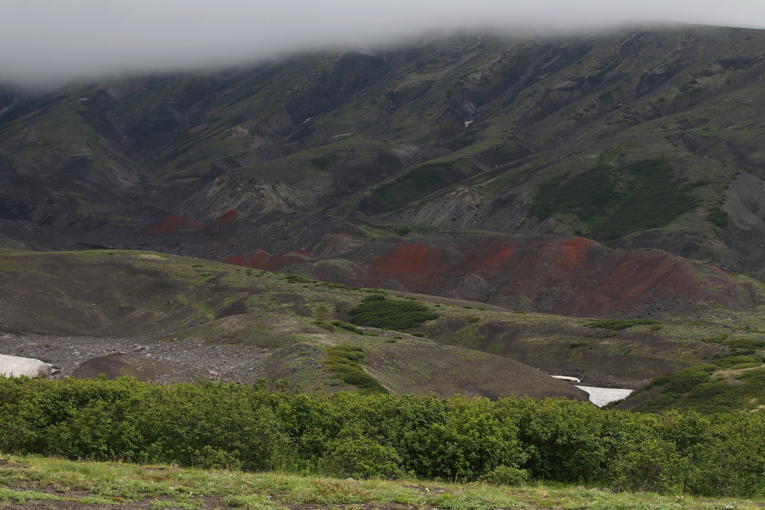 Камчатка и о. Парамушир. Июль 2024. Путешественник-фотограф из Санкт-Петербурга Татьяна Свистулина
