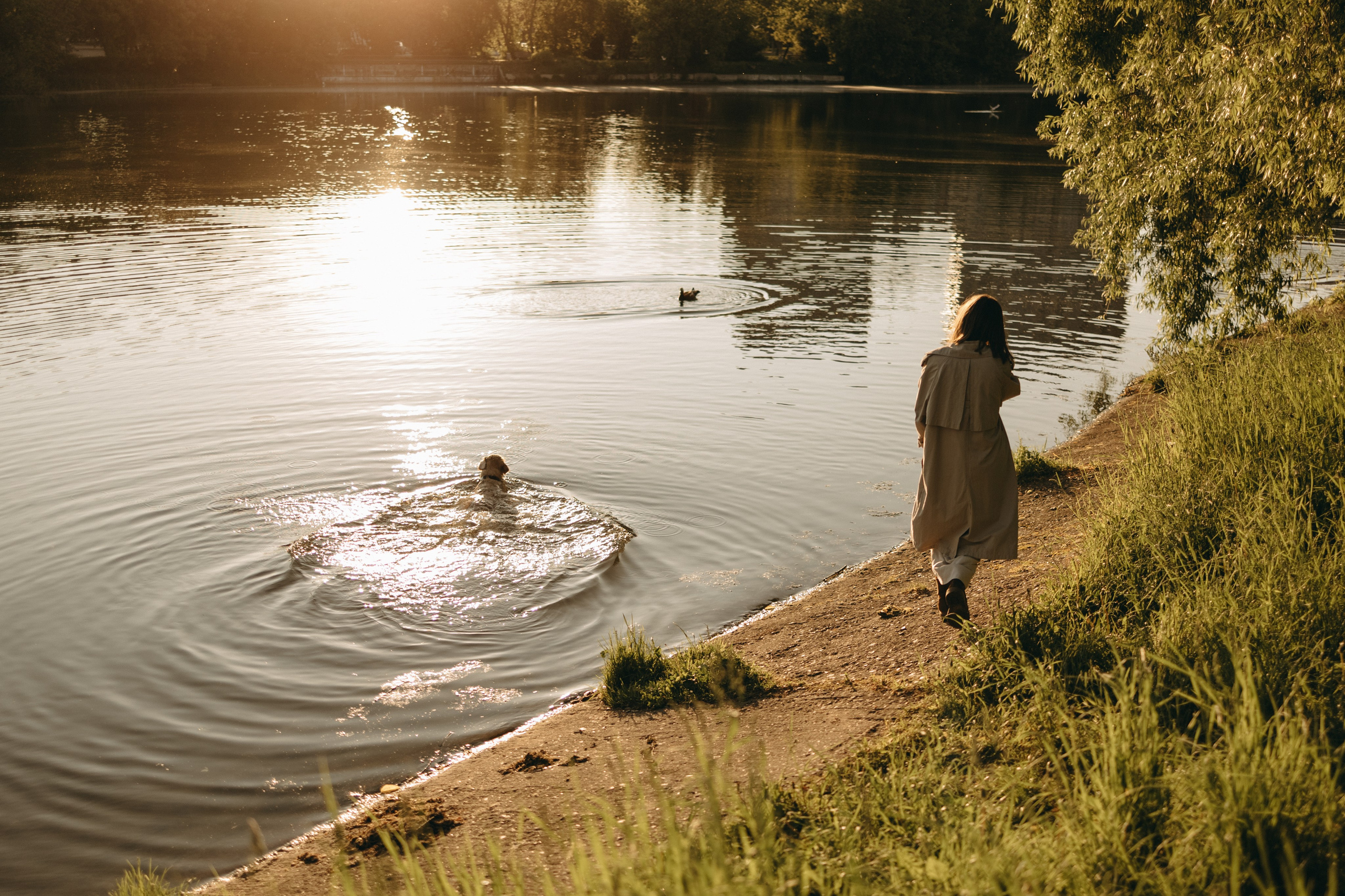 Пенни и ребята. Фотограф — Анималист | Санкт-Петербург