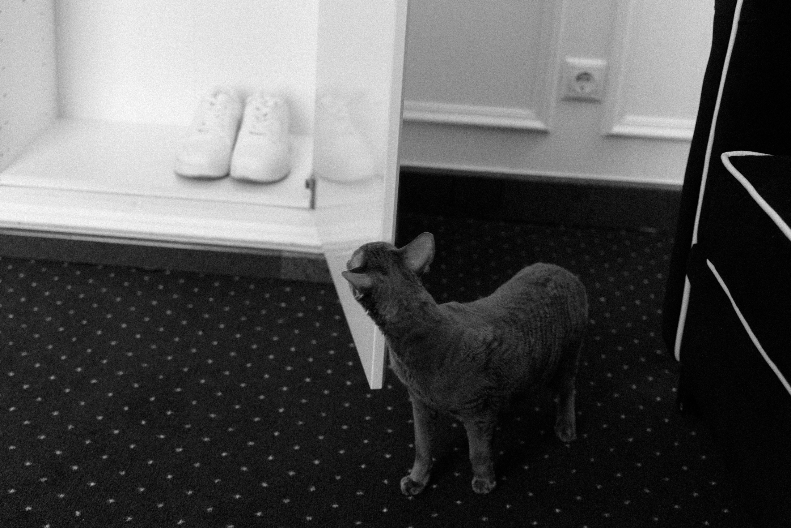 Юрий и Анастасия. Свадебный и семейный фотограф Харольцева Наталья