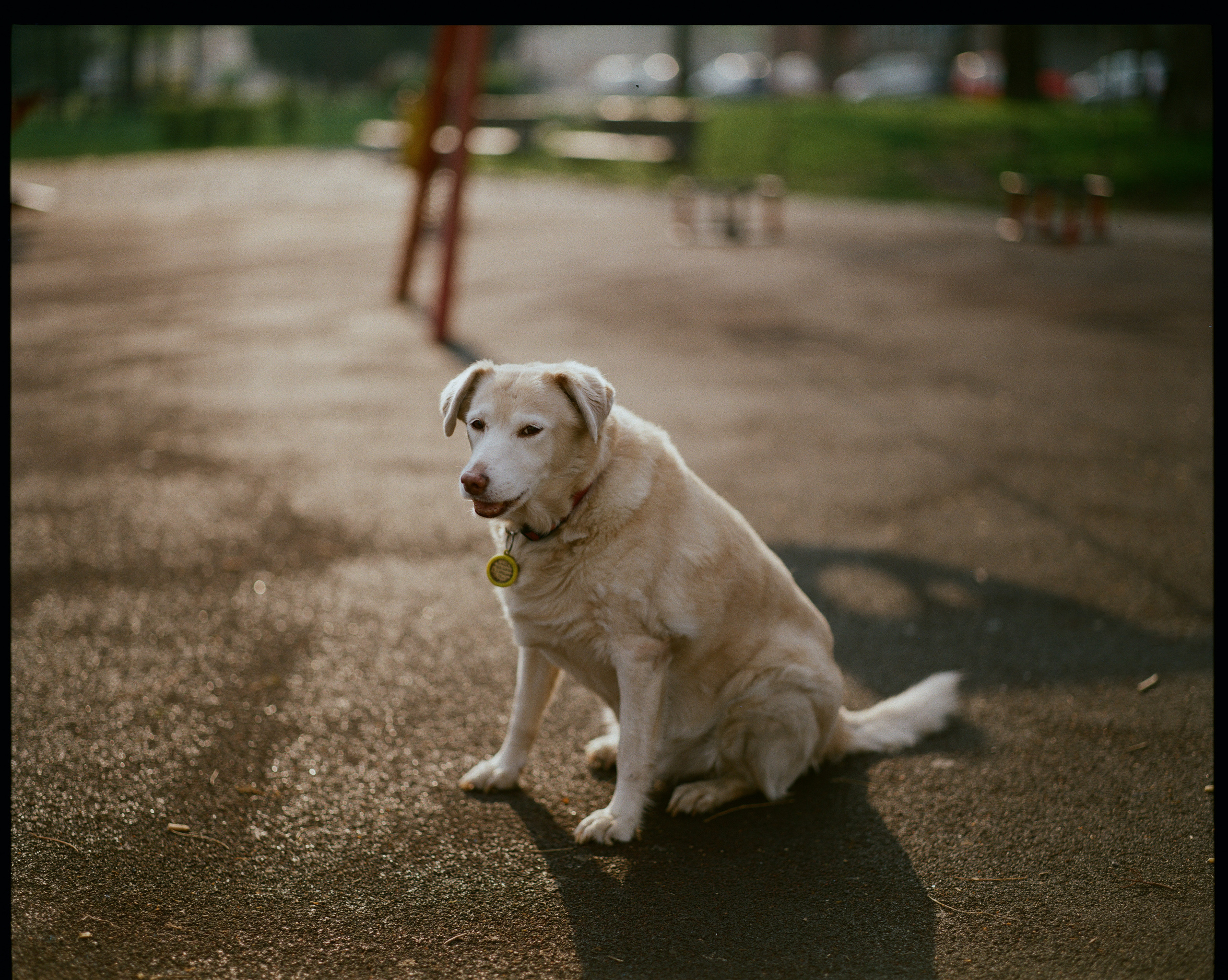 Пленка. Oleg Kozachok — Photographer with Protanopia | Portraits, Texture & Light