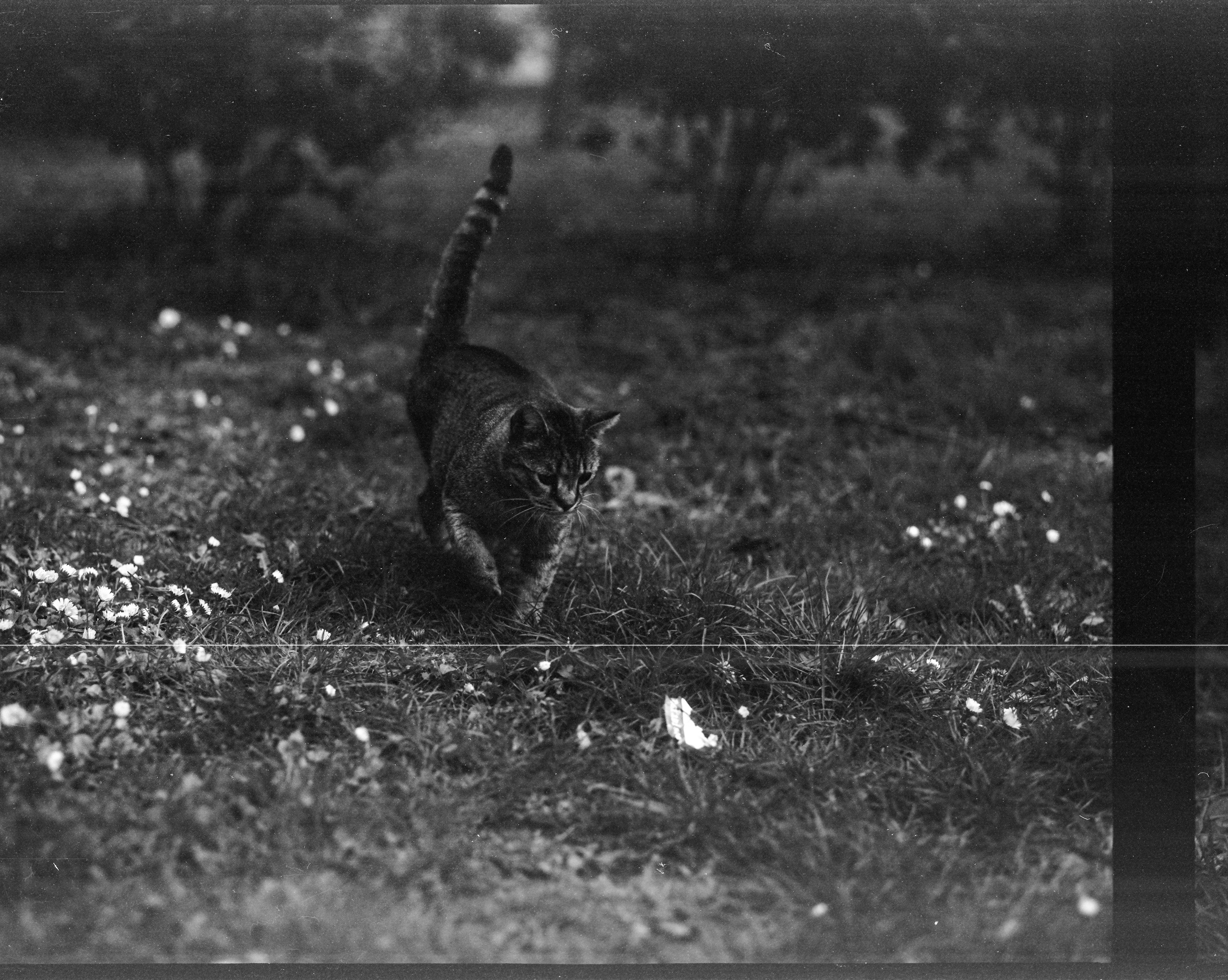 Пленка. Oleg Kozachok — Photographer with Protanopia | Portraits, Texture & Light