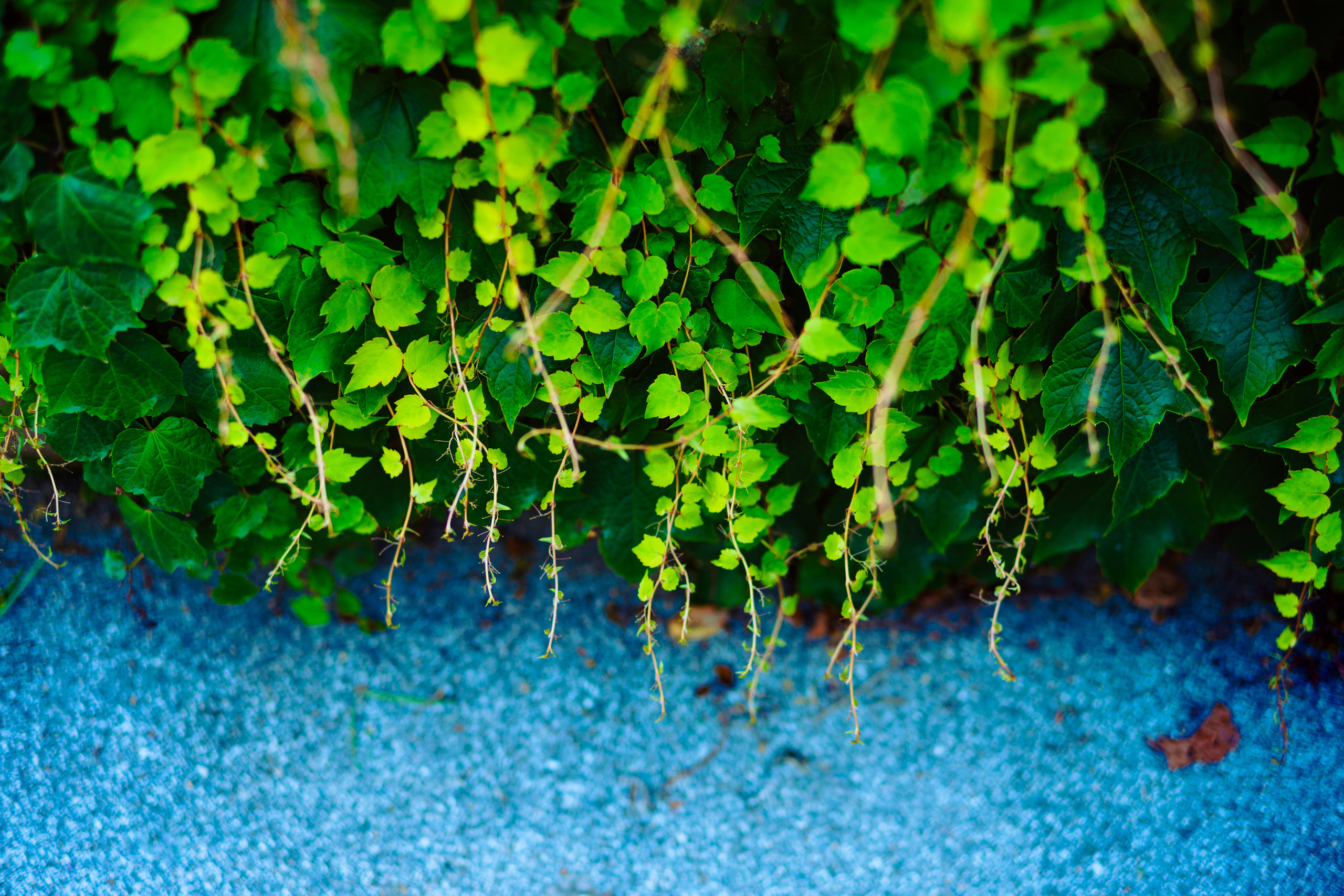 Каталог обоев для ПК\ноутбук. Oleg Kozachok — Photographer with Protanopia | Portraits, Texture & Light