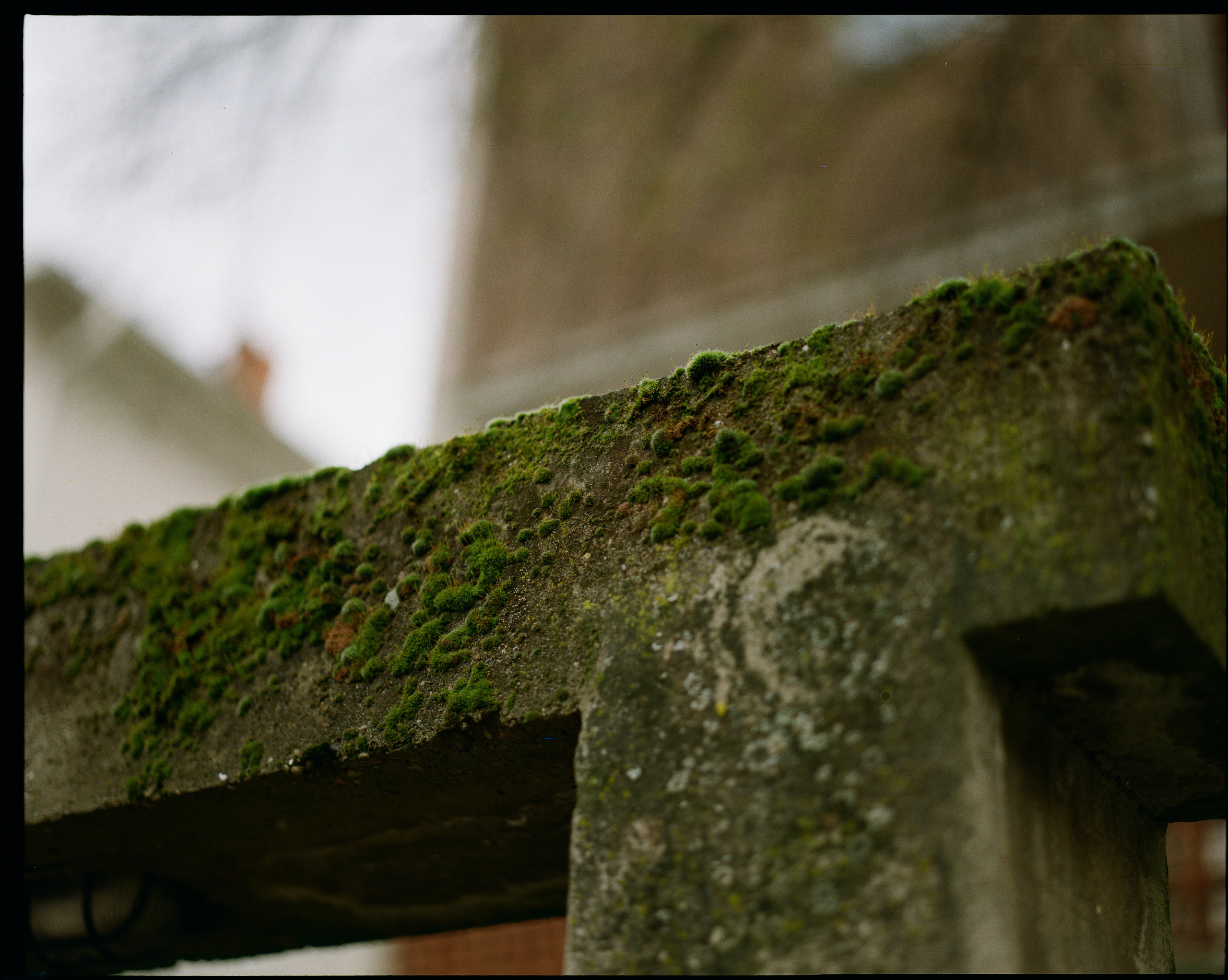 Пленка. Oleg Kozachok — Photographer with Protanopia | Portraits, Texture & Light