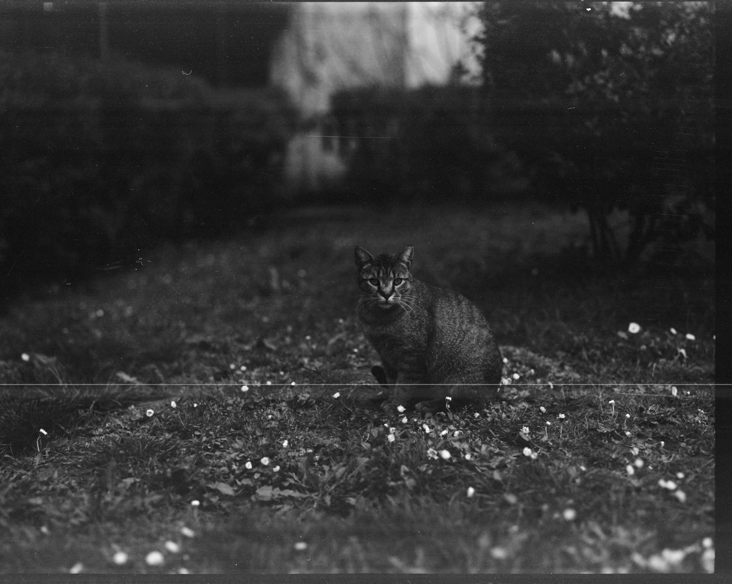 Пленка. Oleg Kozachok — Photographer with Protanopia | Portraits, Texture & Light