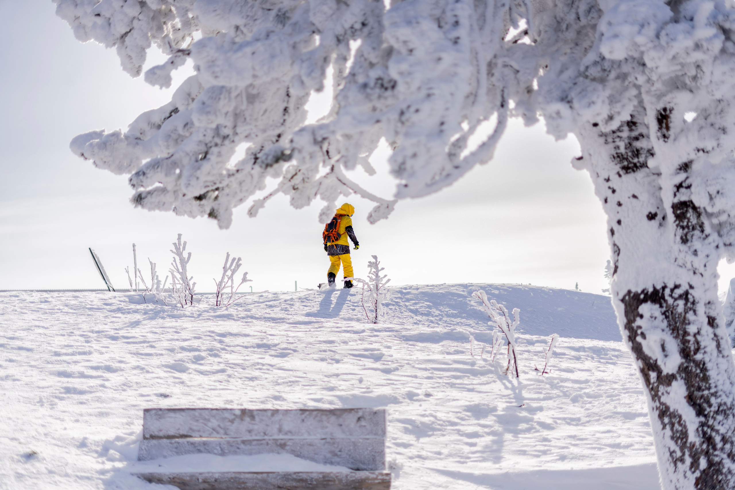 Тур. Анастасия Паршукова — фотограф Шерегеш Новосибирск