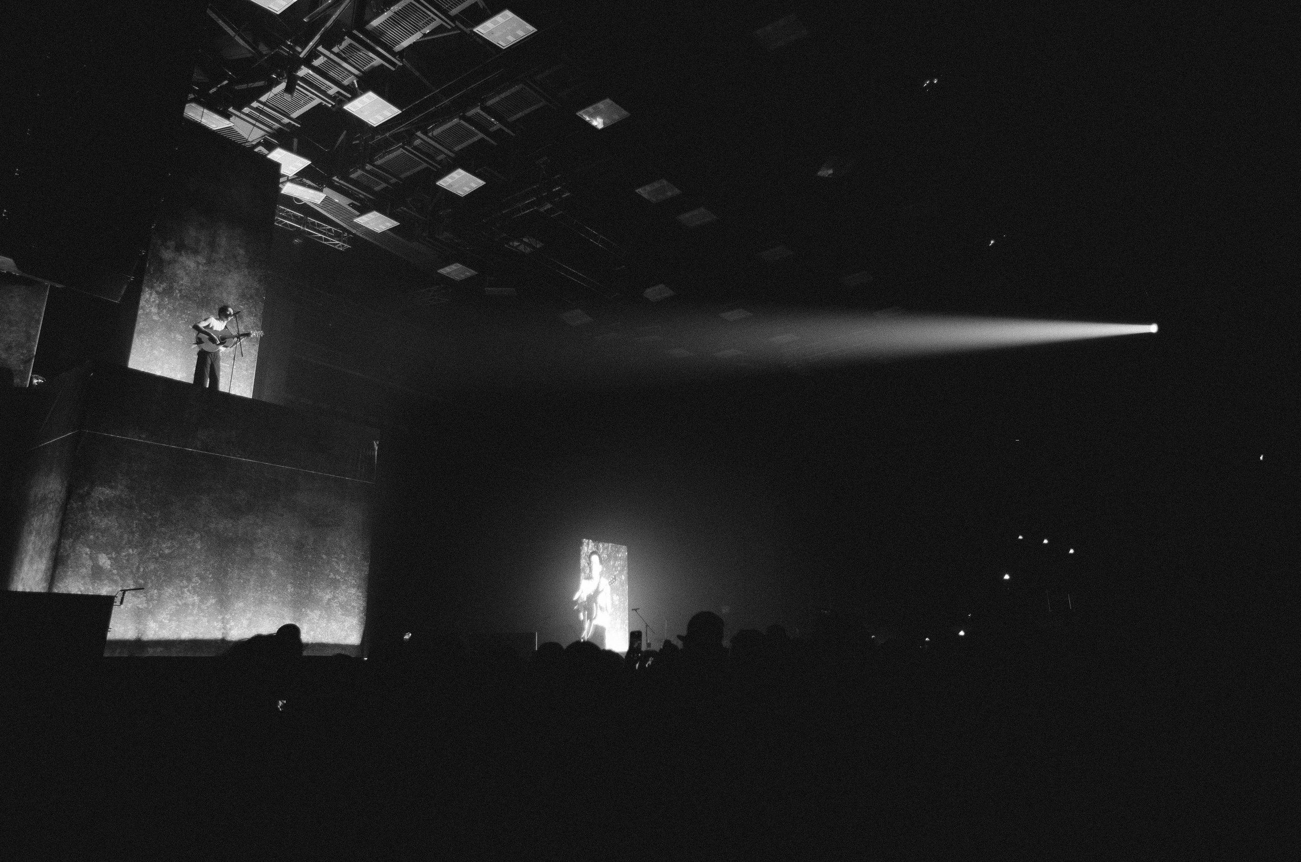Zoloto в Юбилейном. Фотограф Виктория Дунаевская в Санкт Петербурге