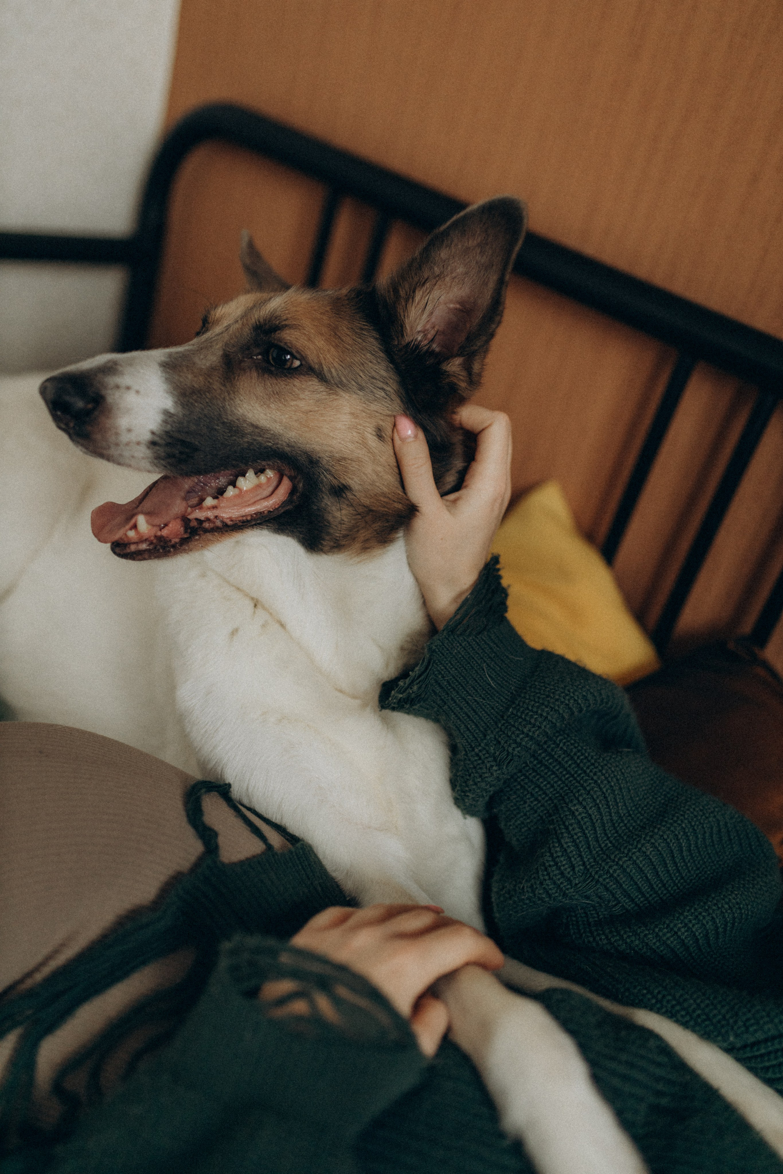 Полина. Фотограф НОГИНСК, Москва, Анастасия Белая