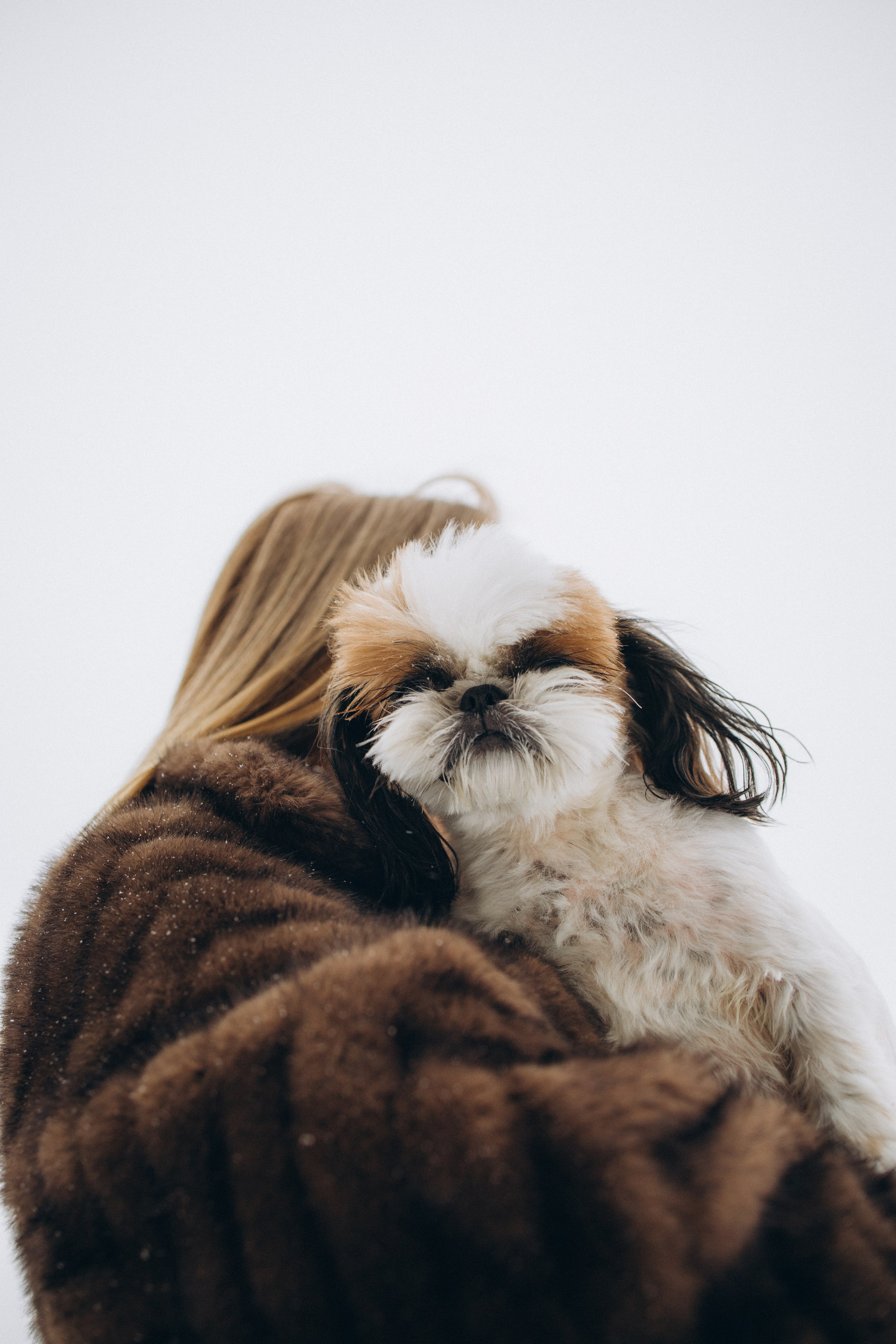 Ксюша & Зевс. Семейный фотограф Питер •love-story•|Санкт-Петербург