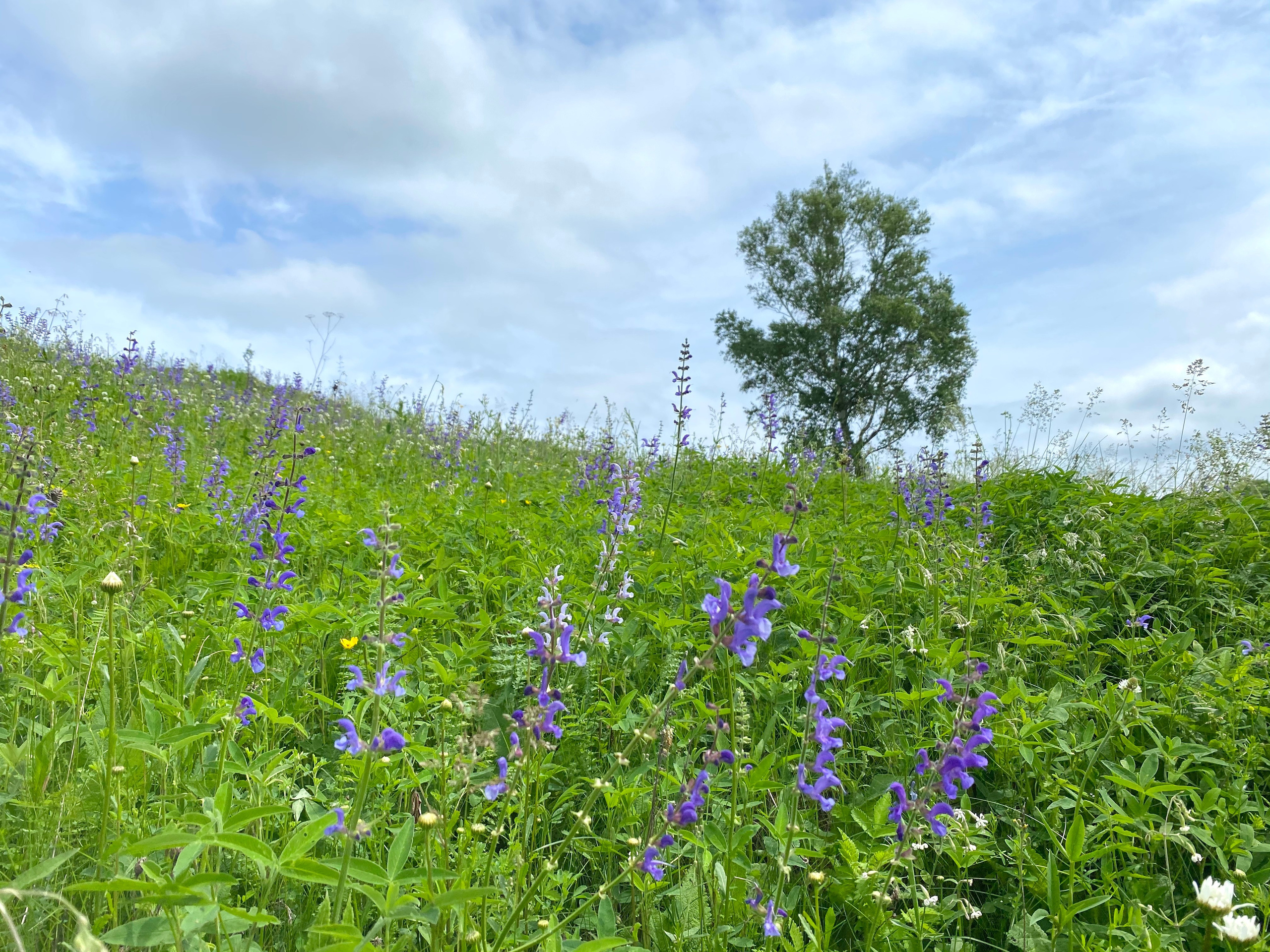 Трехдневный летний поход по Тульской земле. Сайт фотографа Андрея Басова