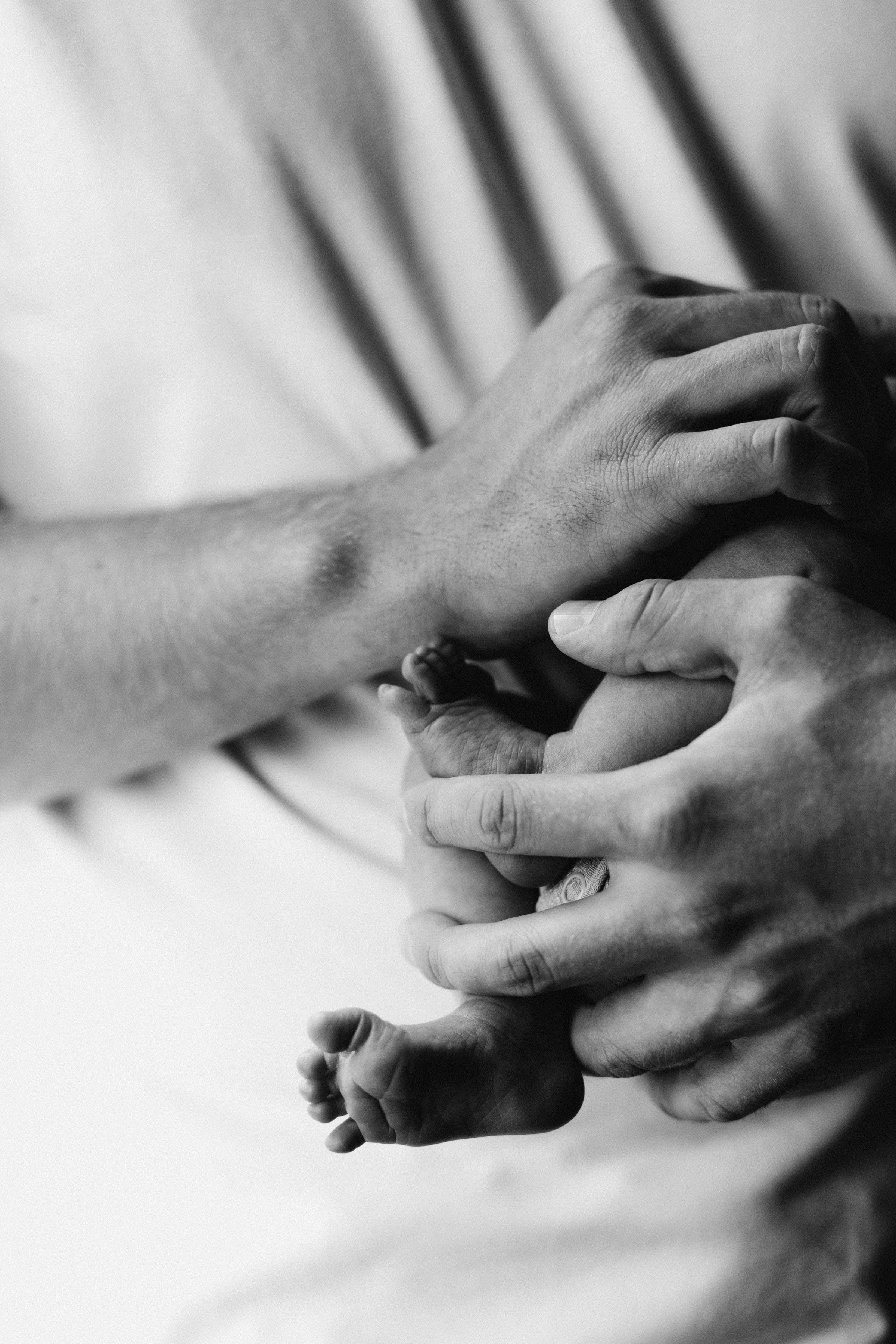 Нью борн домашняя. Семейный фотограф в Волгодонске Краченцева Анна