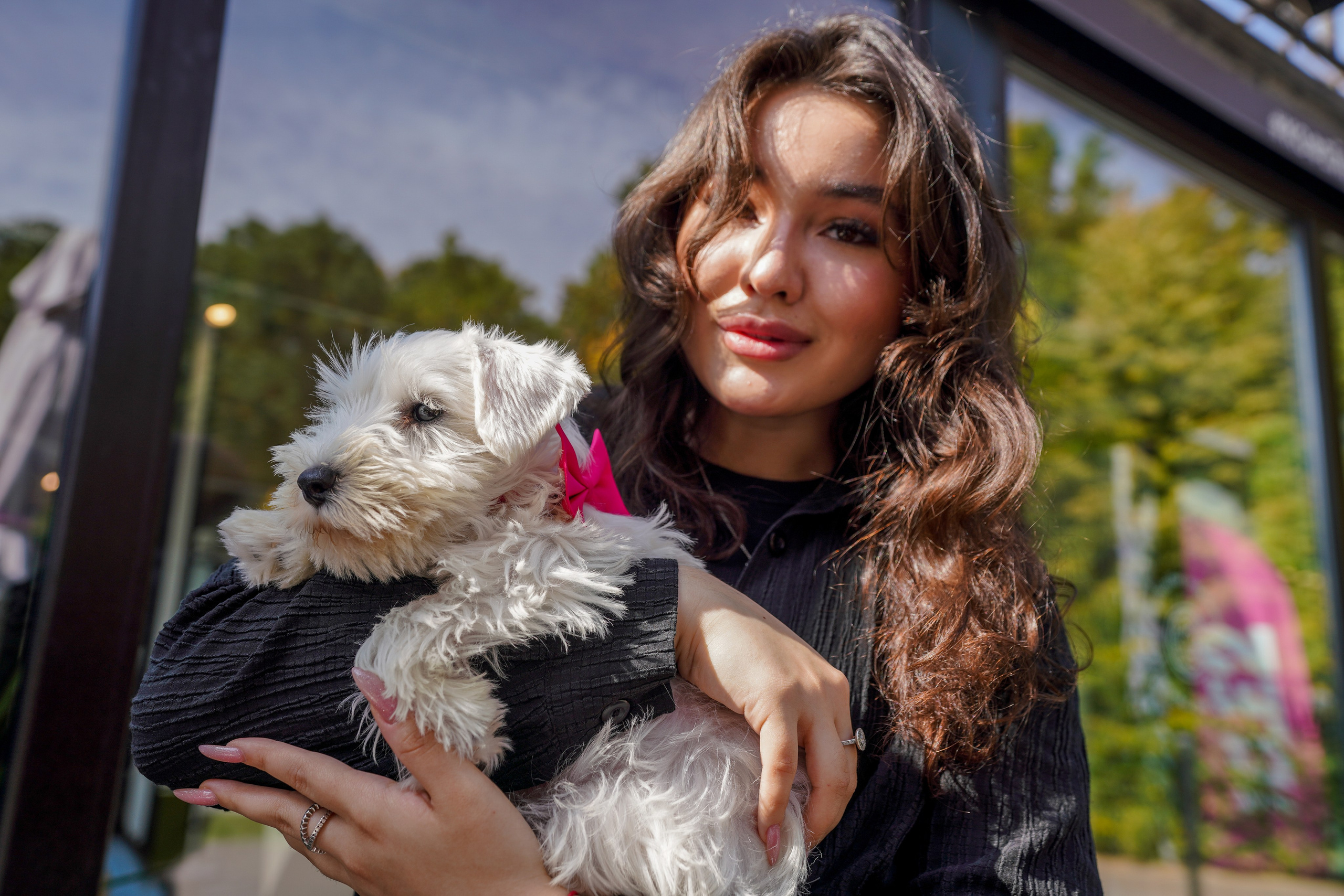 ДР собаки по имени Моррис :). Фотограф Казань