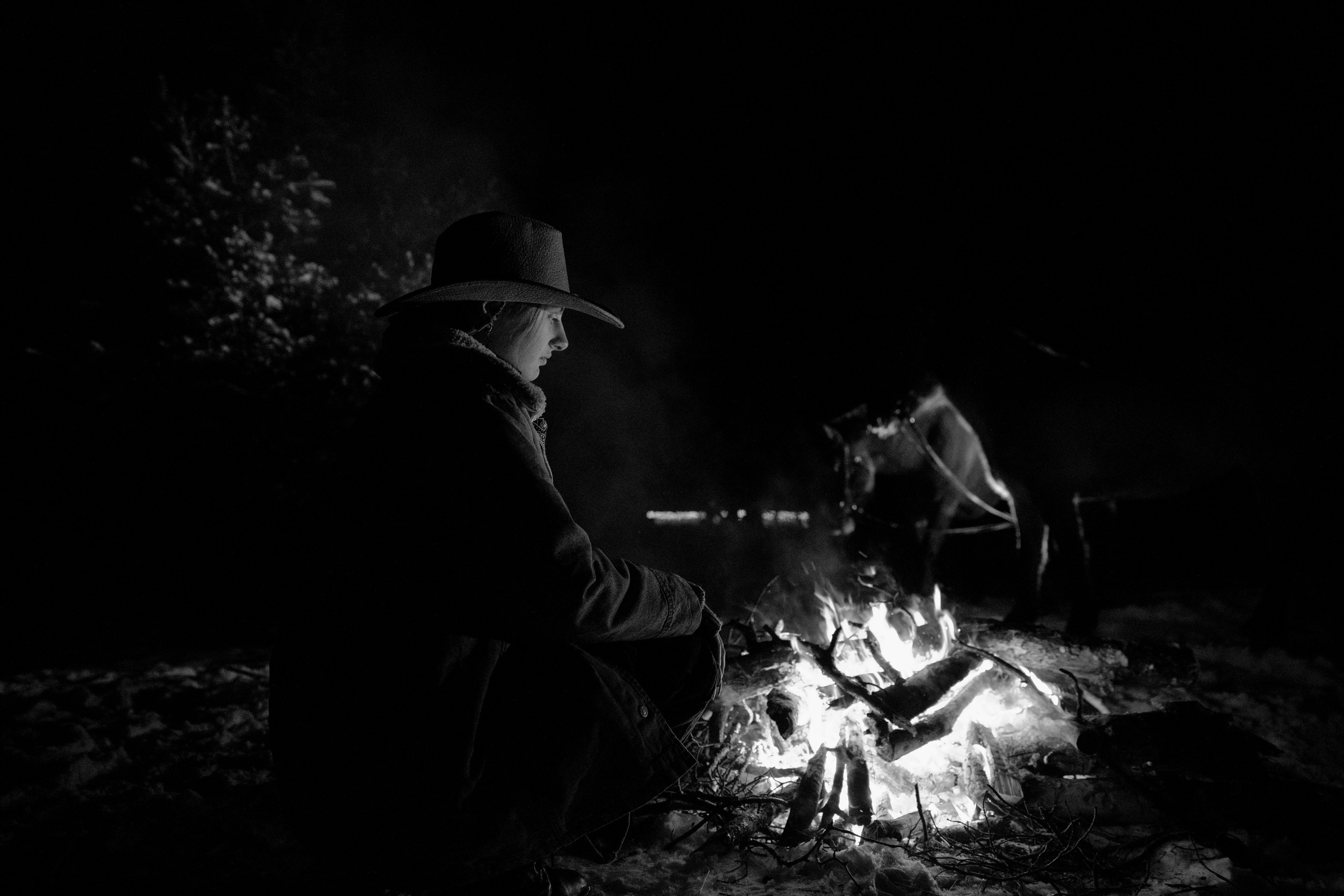 Фотосессии с лошадьми