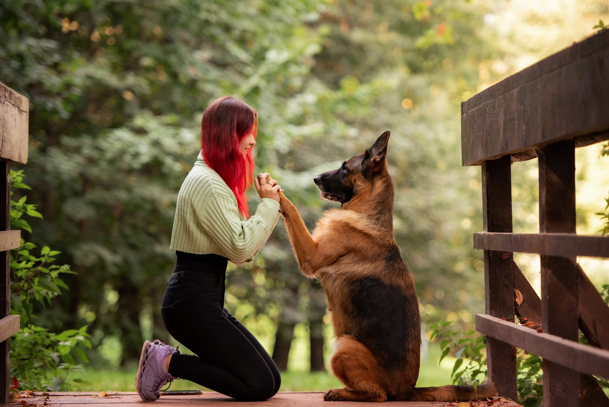 Фотосессия с собакой. Фотограф собак в Москве и Московской области Иванушкина Мария