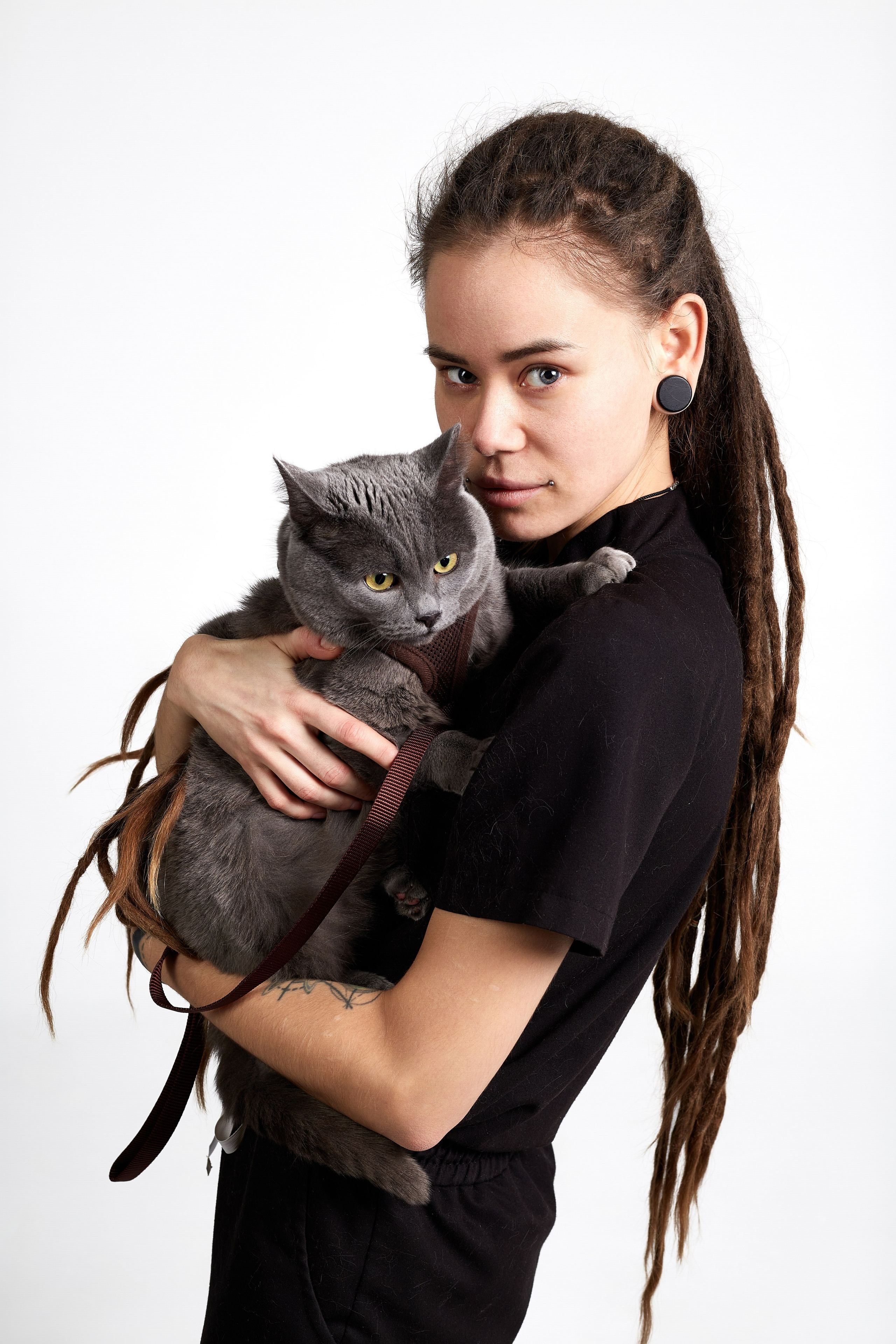 портретная фотосессия, студийная съемка, девушка с дредами, британский кот, художественная фотография, профессиональный фотограф, минимализм