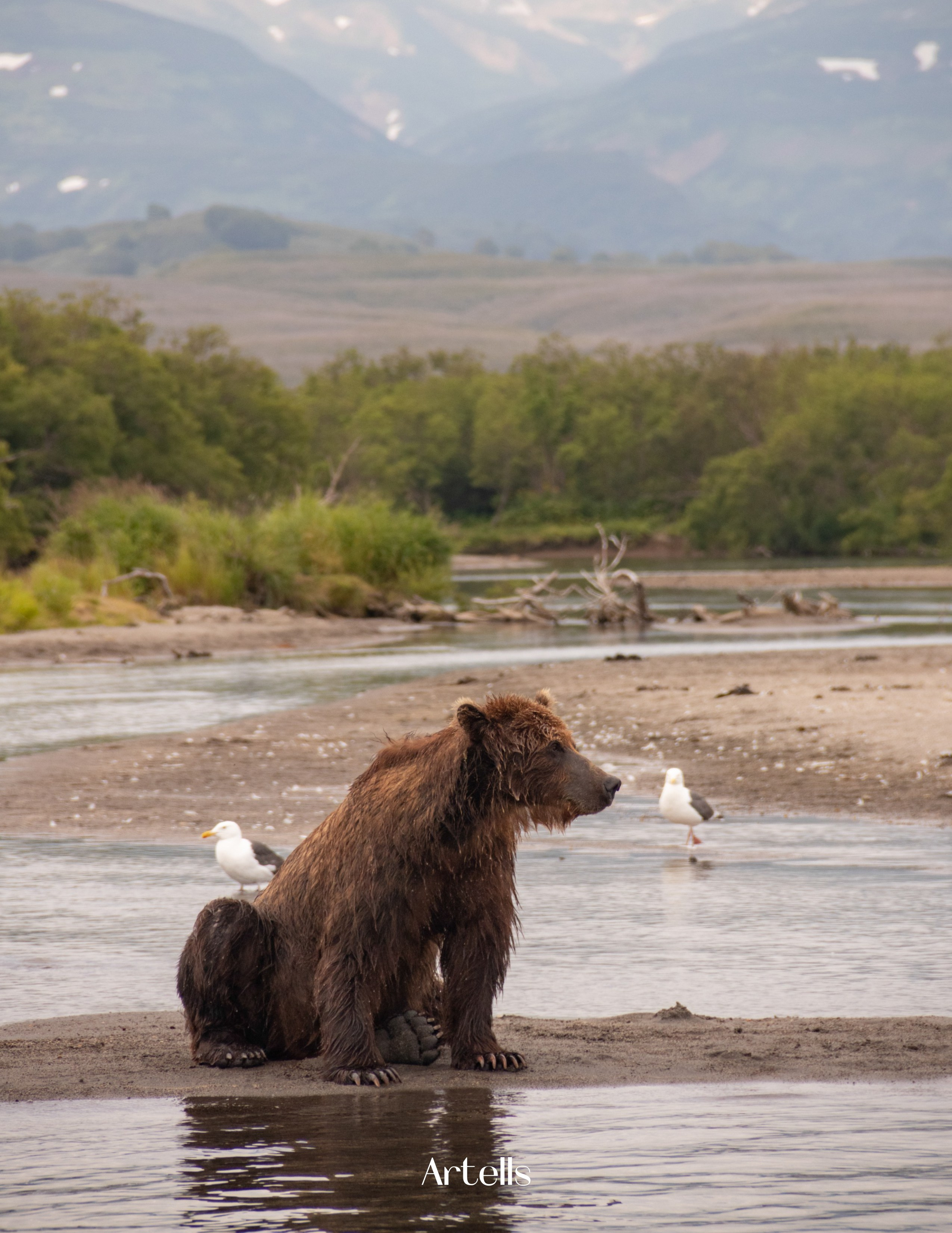 Журнал Artells. Kamchatka peninsula. Наталия Фролова. Фотограф. Москва