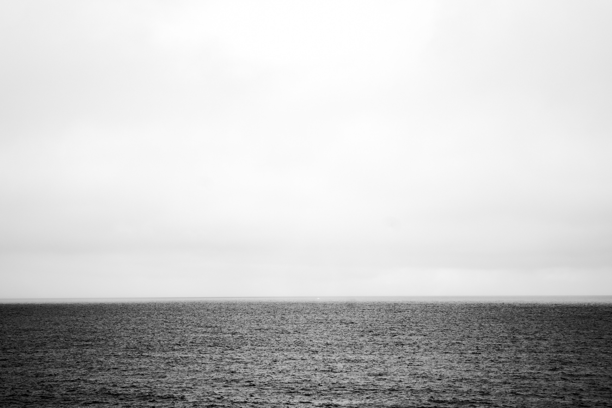  Фотограф: Ожерельев Лев