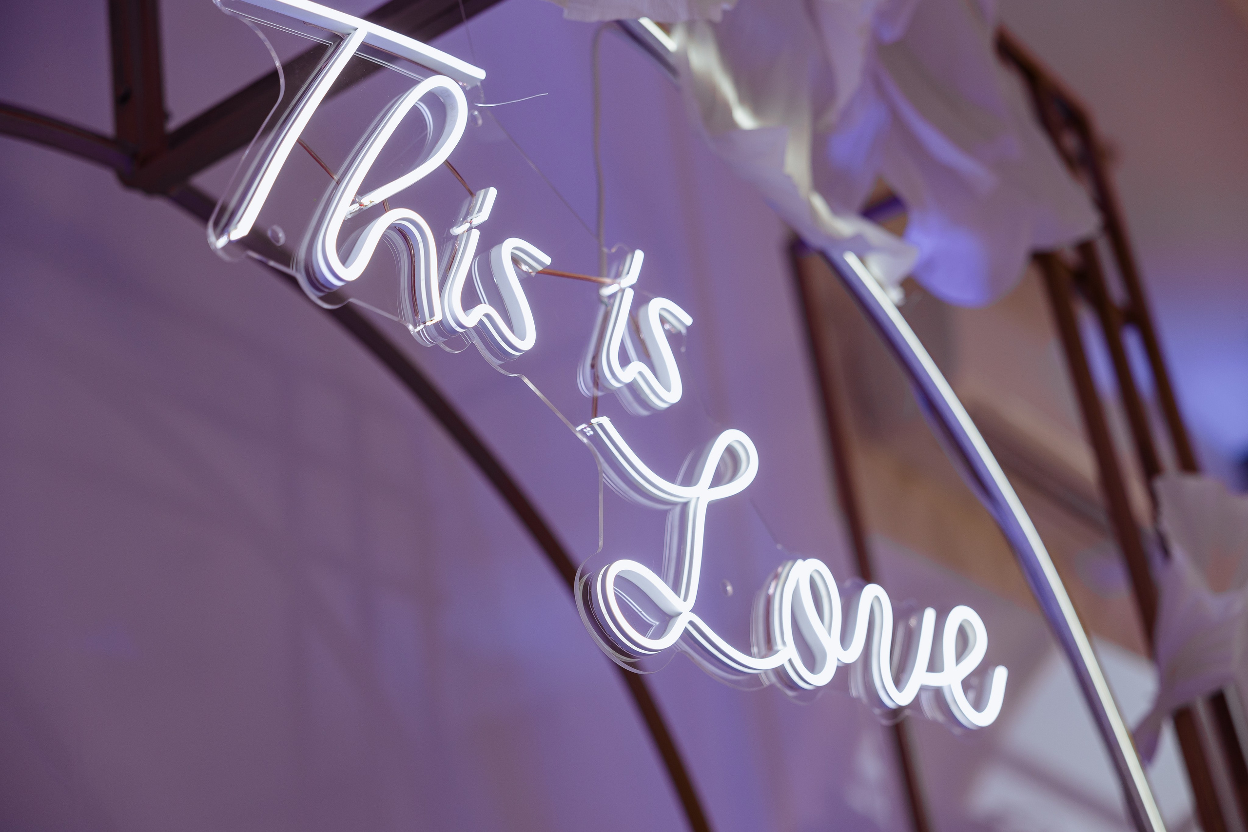 Свадебная вечеринка Евгении и Бориса. Фотограф Сергей Ртищев в Москве и РФ