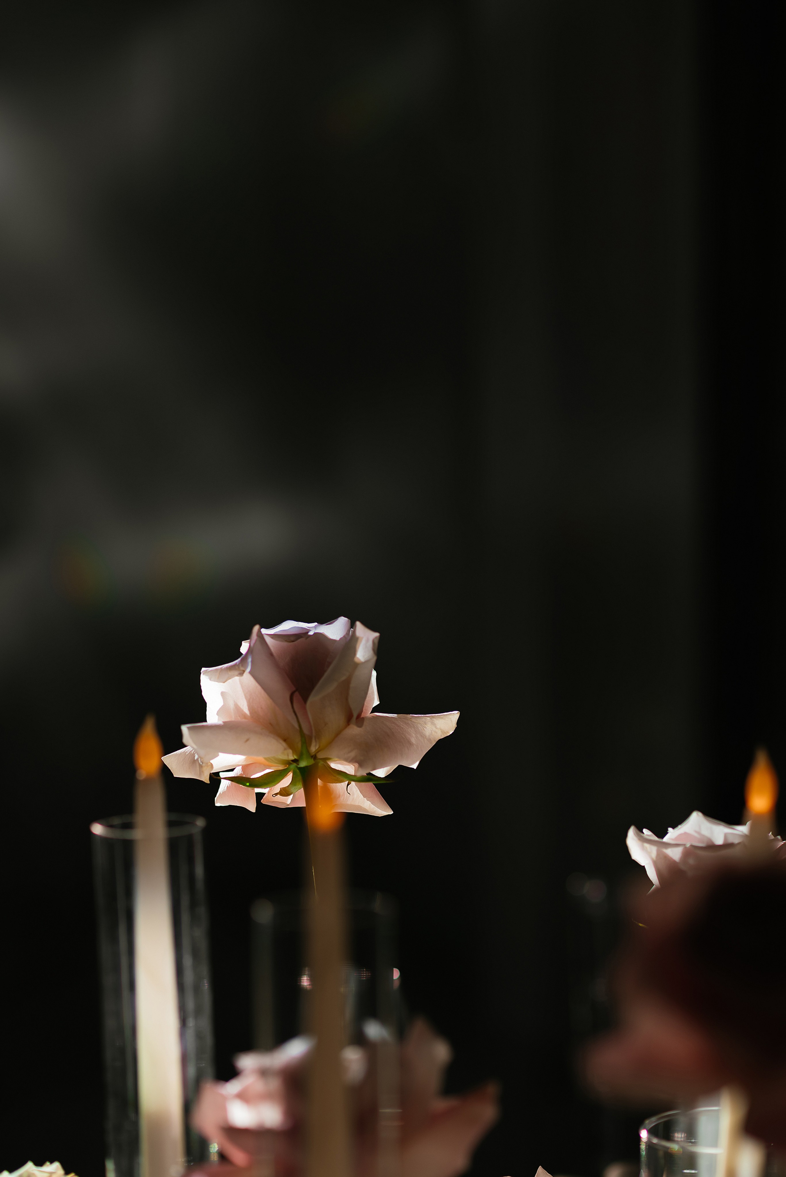 Свадебные серии. Свадебный и семейный фотограф в Ростове-на-Дону Алина Астахова