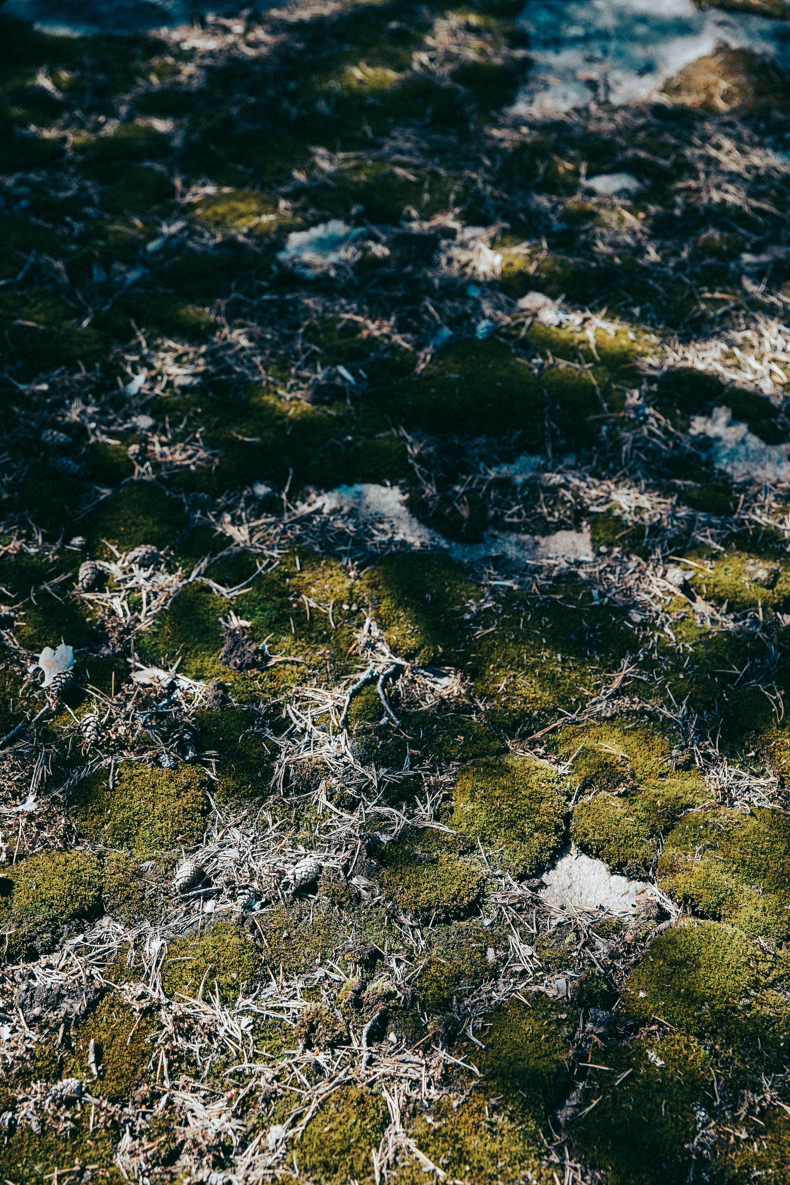 Папа и дочка. Фотограф в Москве Шаганова Нина