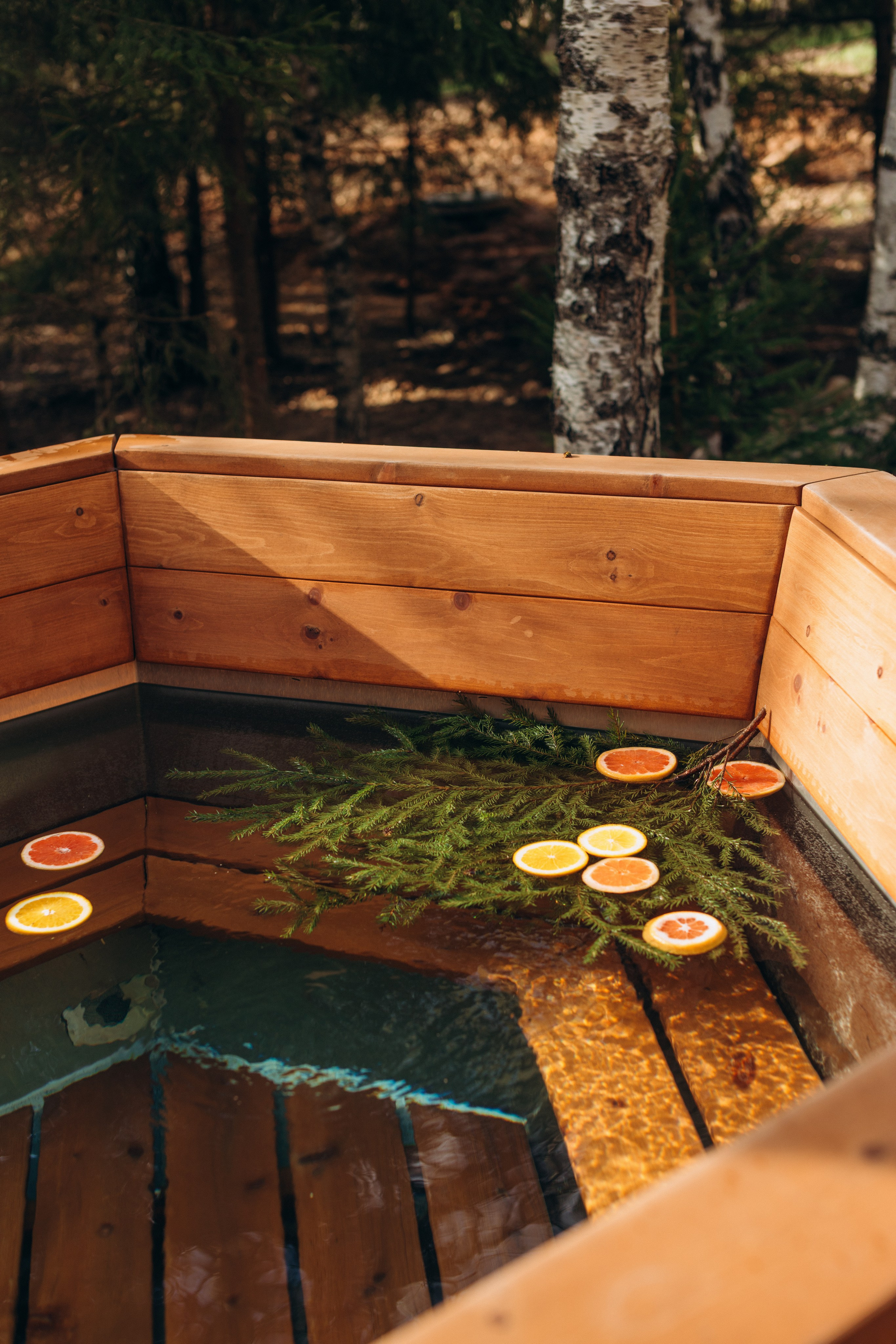 Filin. Главная