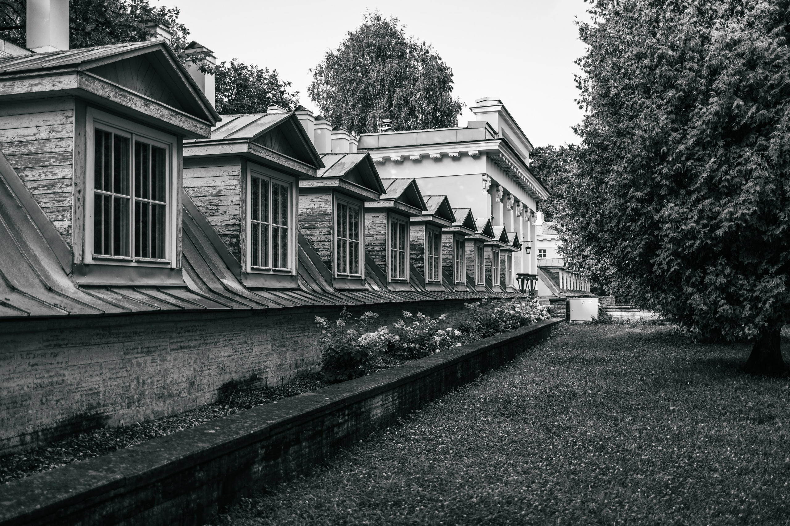 Street. Фотограф в Санкт-Петербурге Шевцов Андрей