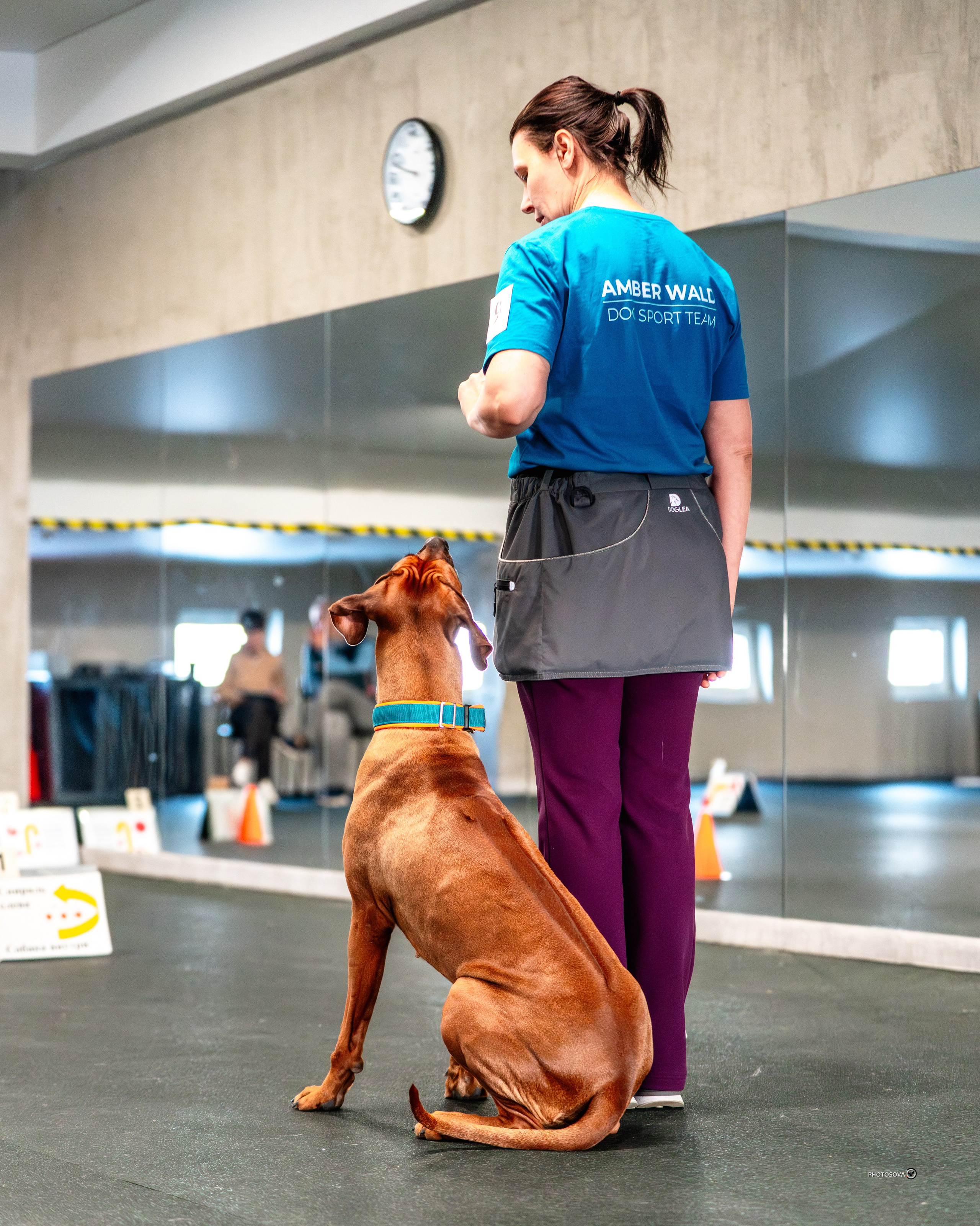 ТЫ И Я (соревнования по ралли-обидиенс). Фотограф-анималист, семейный фотограф в Москве и Подмосковье. Фотосъёмка кинологических дисциплин