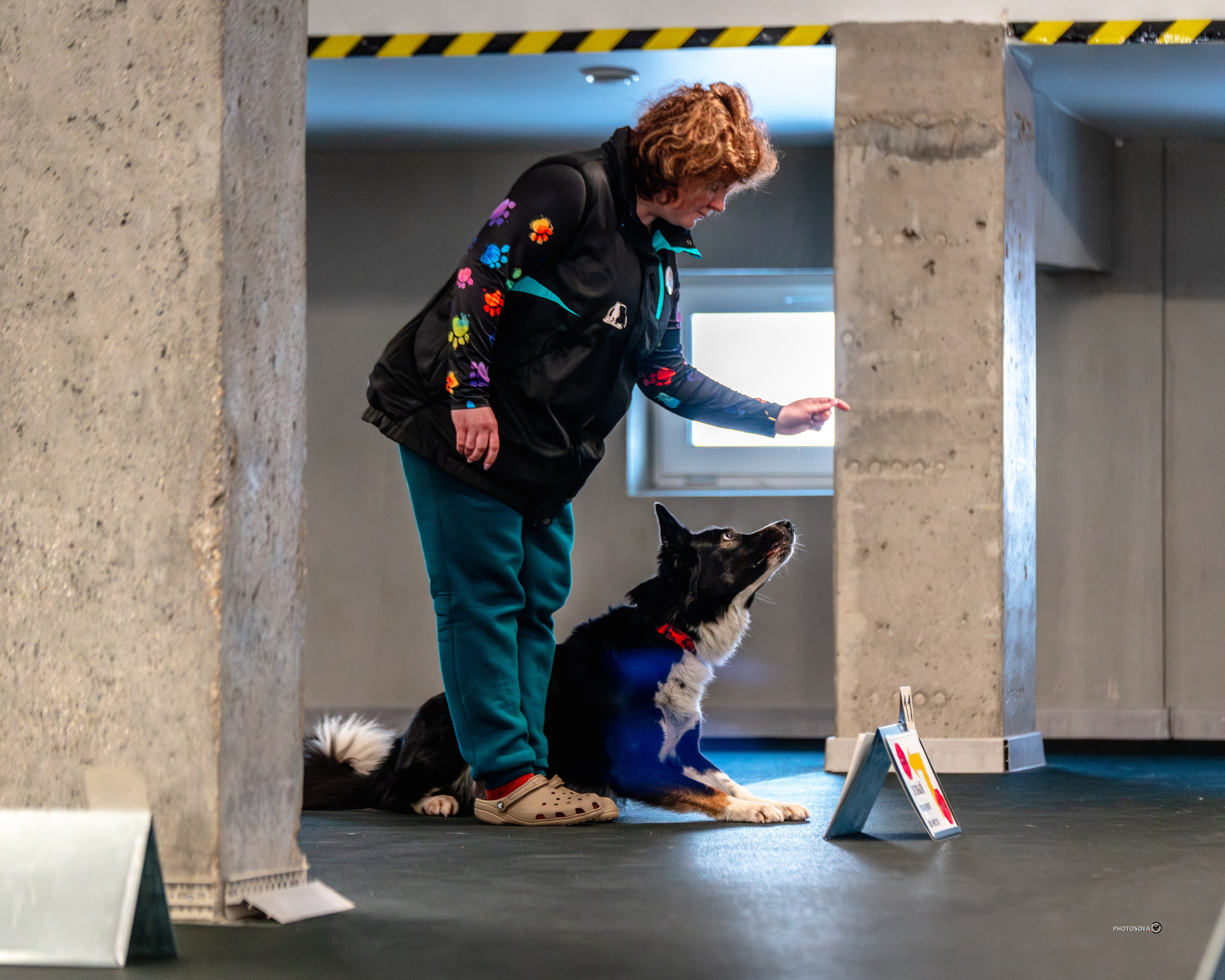 ТЫ И Я (соревнования по ралли-обидиенс). Фотограф-анималист, семейный фотограф в Москве и Подмосковье. Фотосъёмка кинологических дисциплин