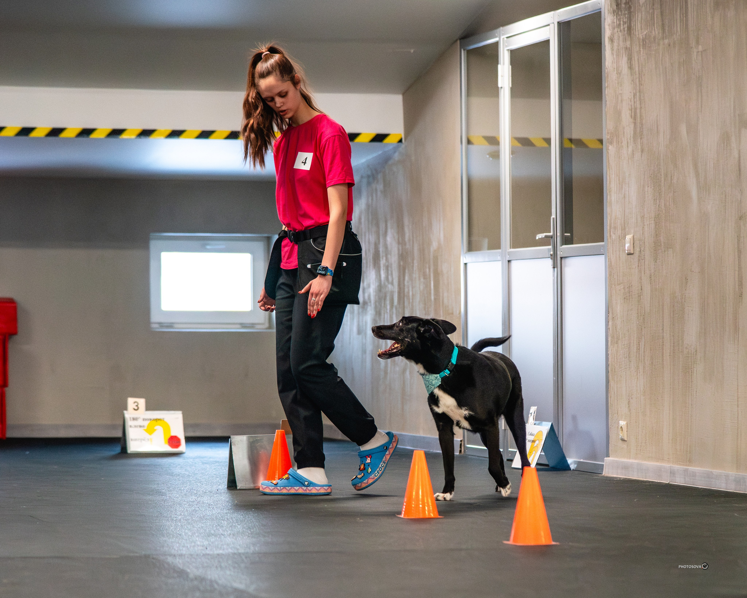 ТЫ И Я (соревнования по ралли-обидиенс). Фотограф-анималист, семейный фотограф в Москве и Подмосковье. Фотосъёмка кинологических дисциплин