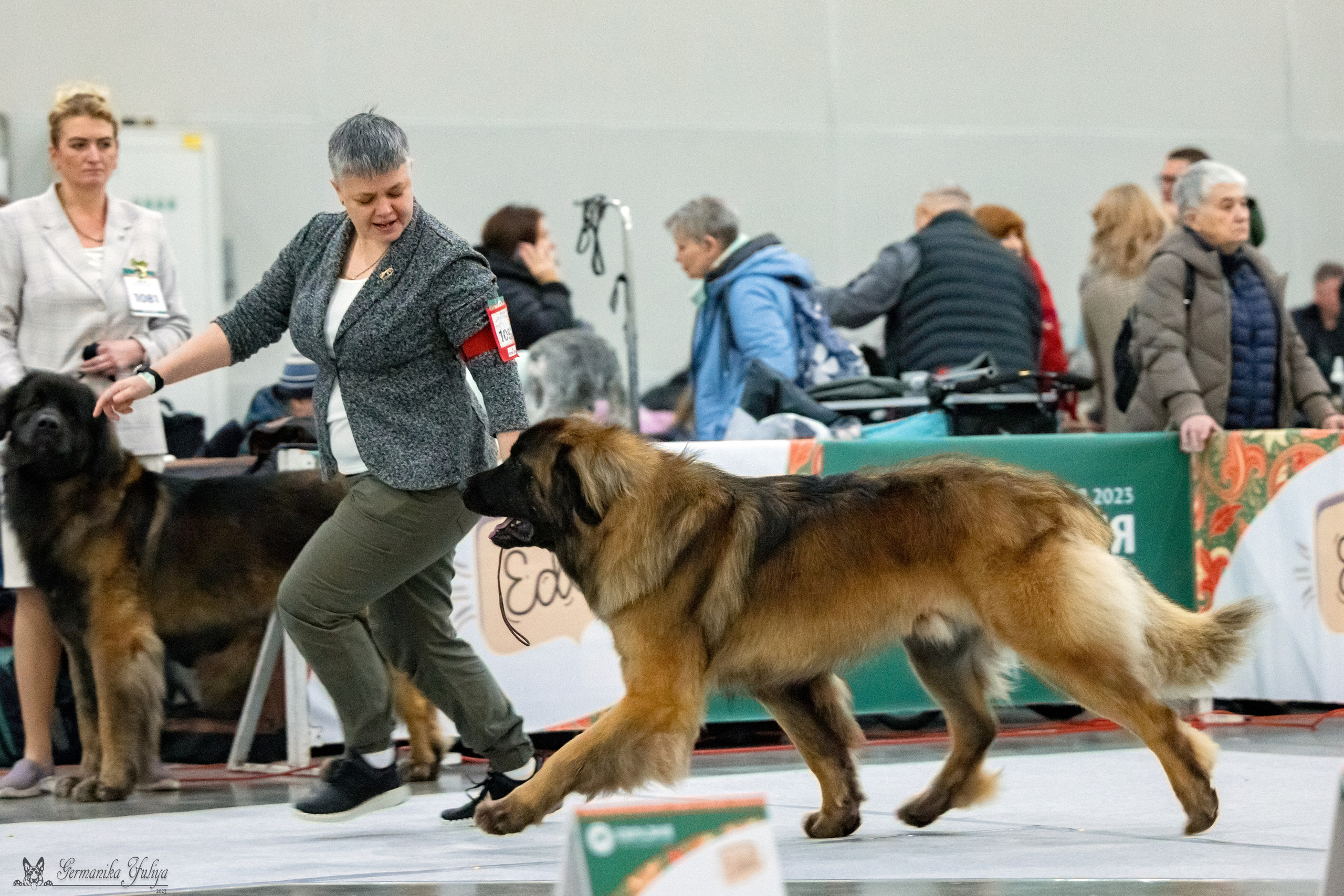 ЕВРАЗИЯ 18-19.11.2023. Фотограф-анималист Юлия Германика