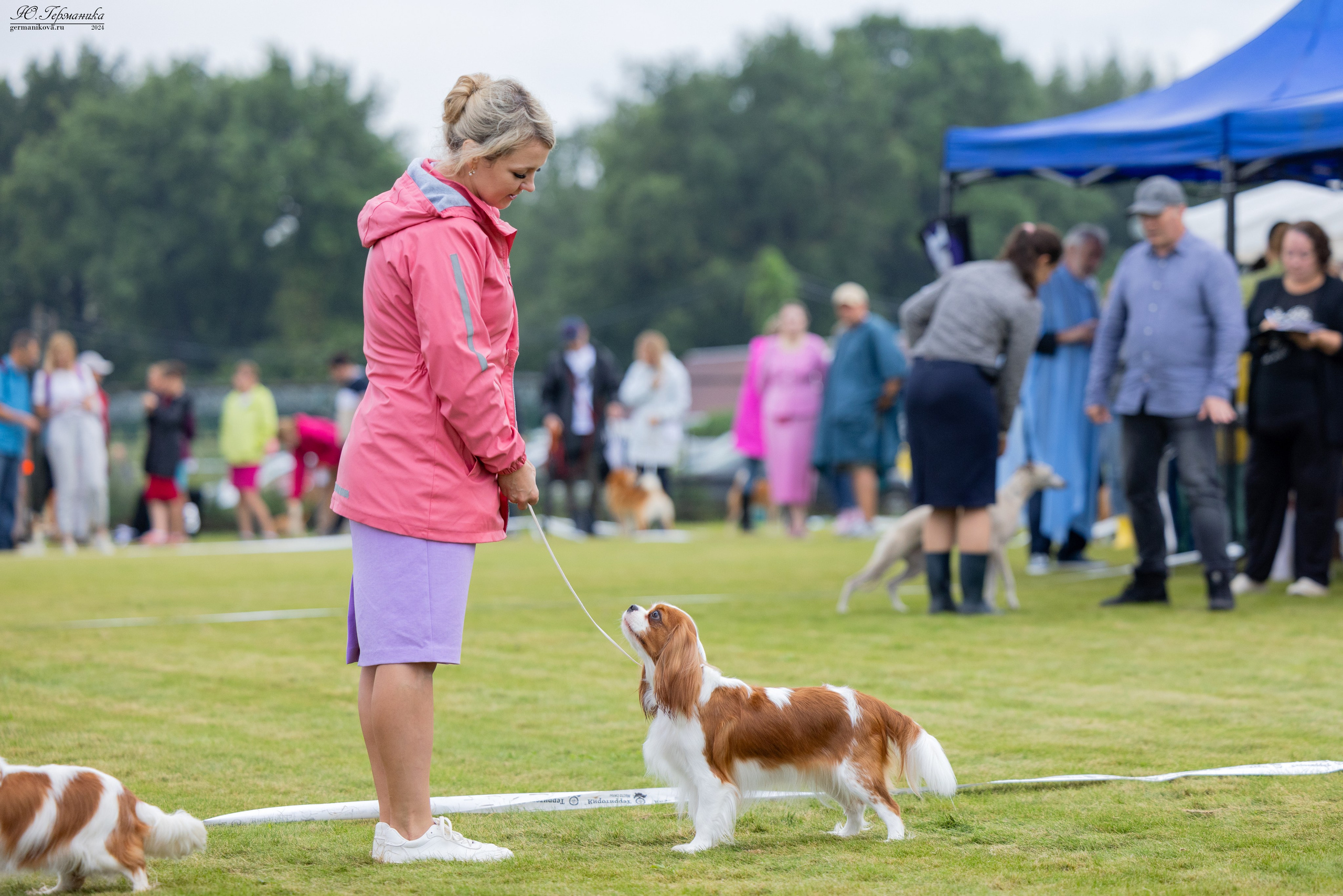 Ярославль 21.07.24 и Балашиха 13.07.24. Фотограф-анималист Юлия Германика