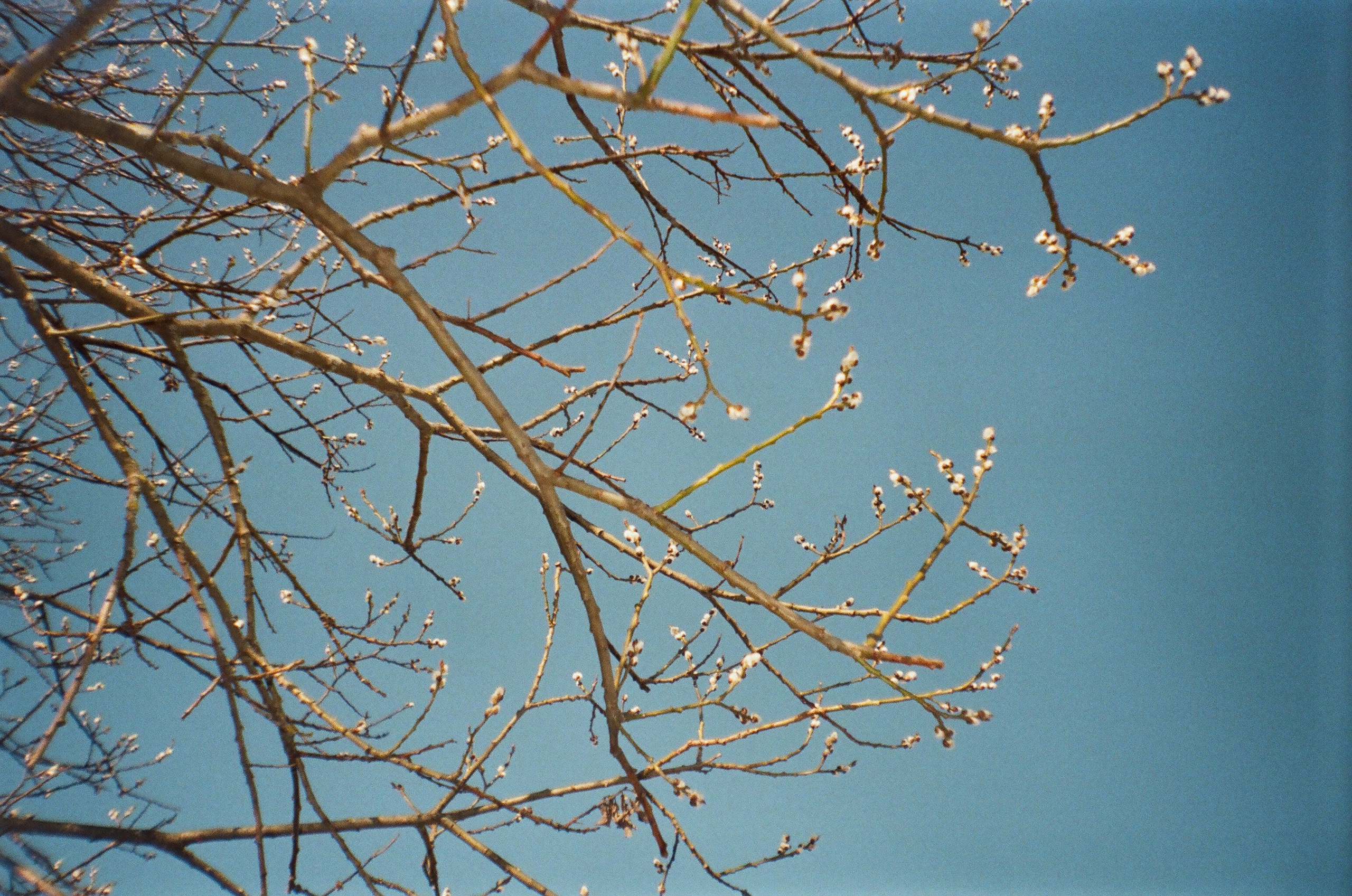 Портфолио. Фотограф Москва | Anastasia Permyakova