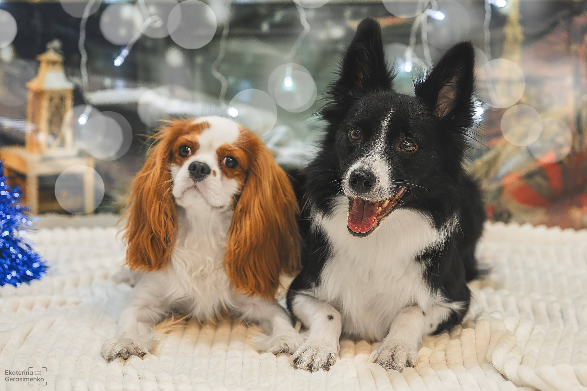 Фотодень. Htykk_photo