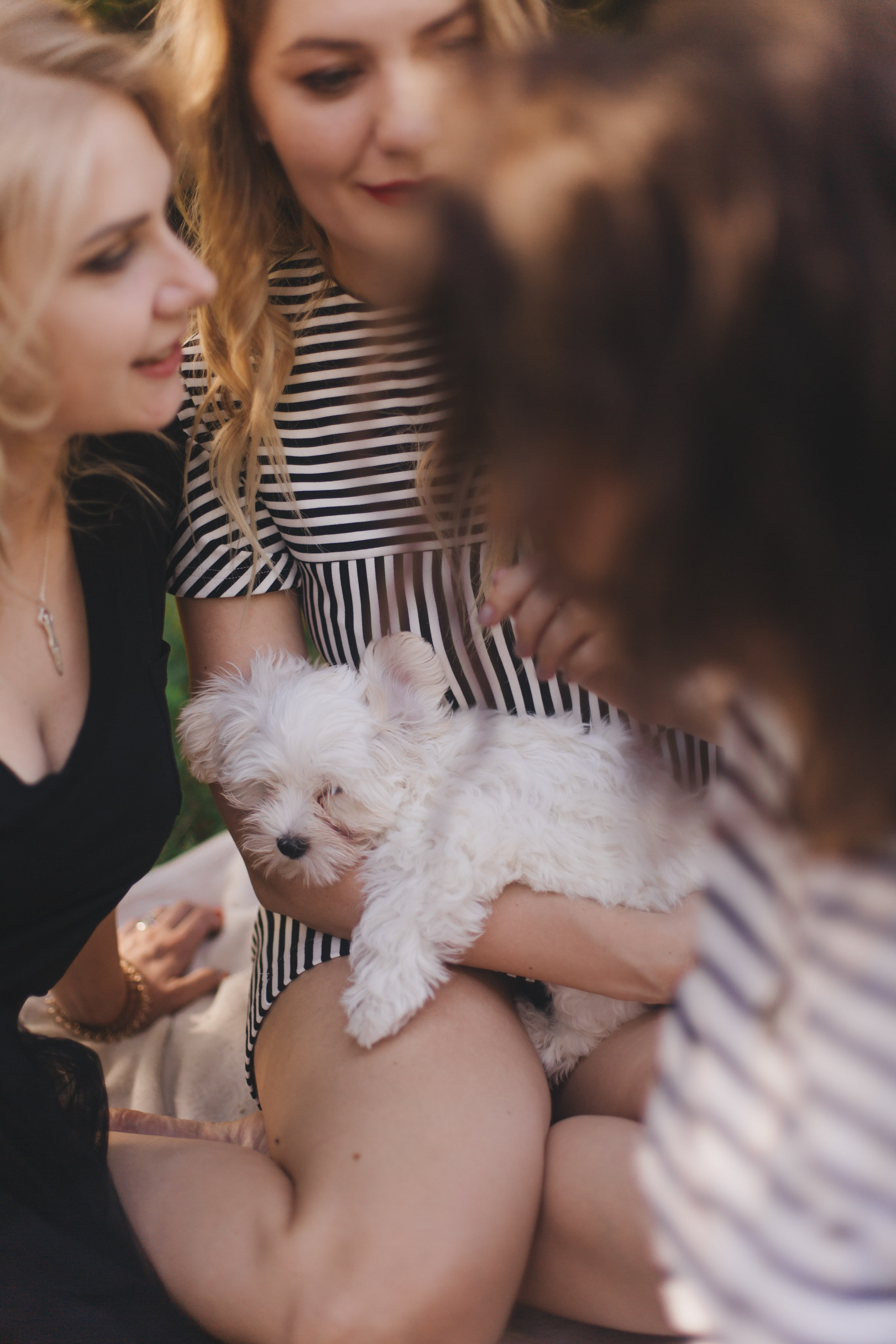 Wow08. Фотограф и свадебный фотограф в Москве