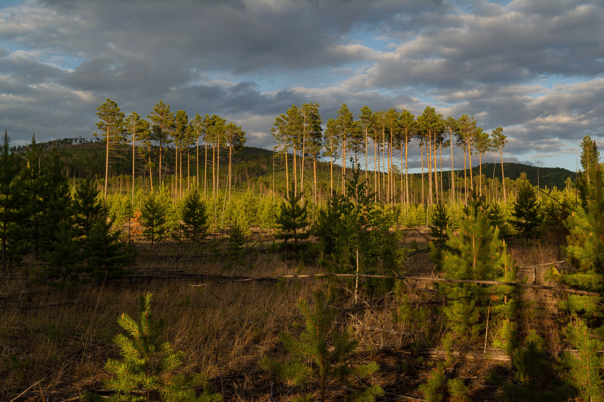 Разное. Репортажный фотограф г. Чита