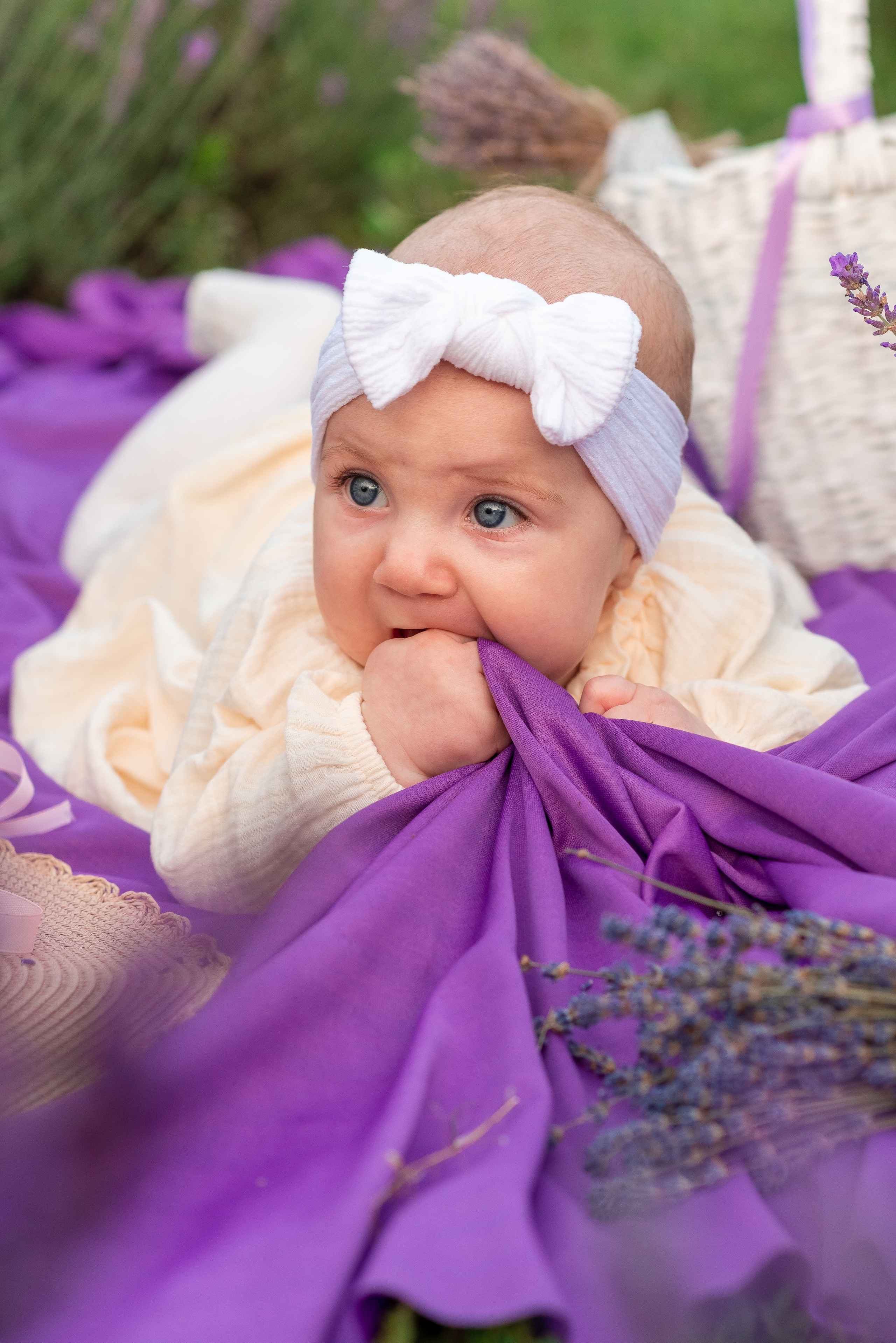 Татьяна с семьей в Лаванде. Семейный фотограф на выписку из роддома и крещение Минск Настя Гришук